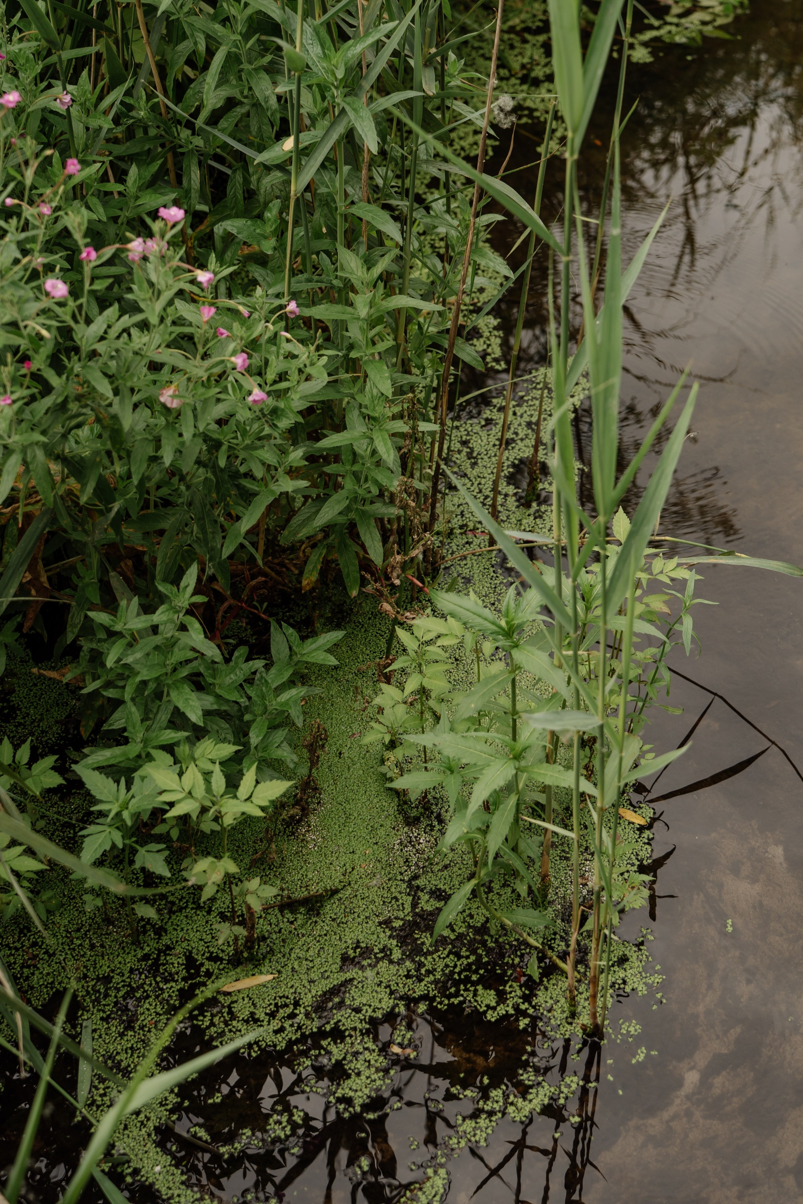 Где бы я не был, где бы ты не была, ты мое небо. Свадебный фотограф Тольятти Москва Адамова Виктория