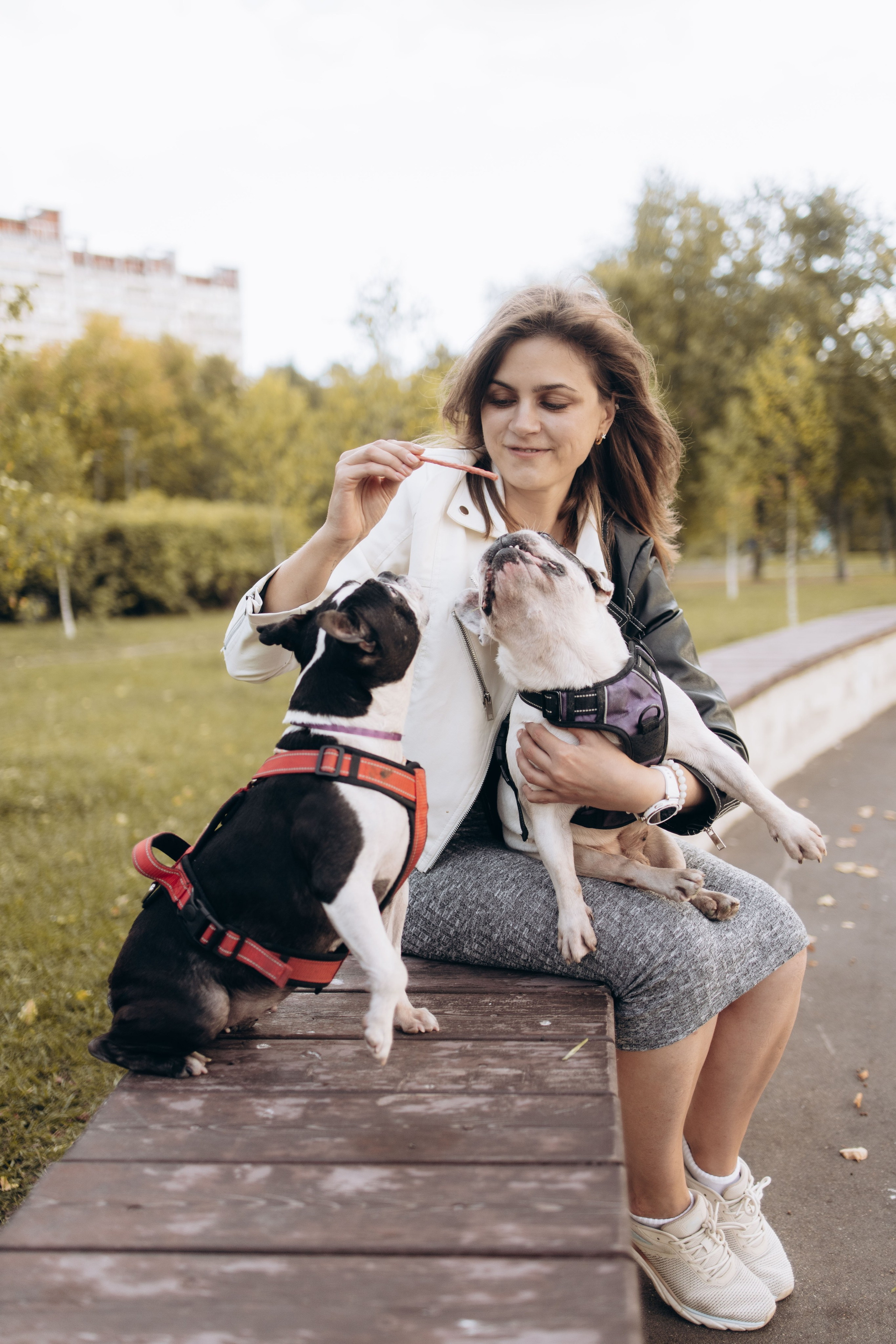 Оля и бульдоги