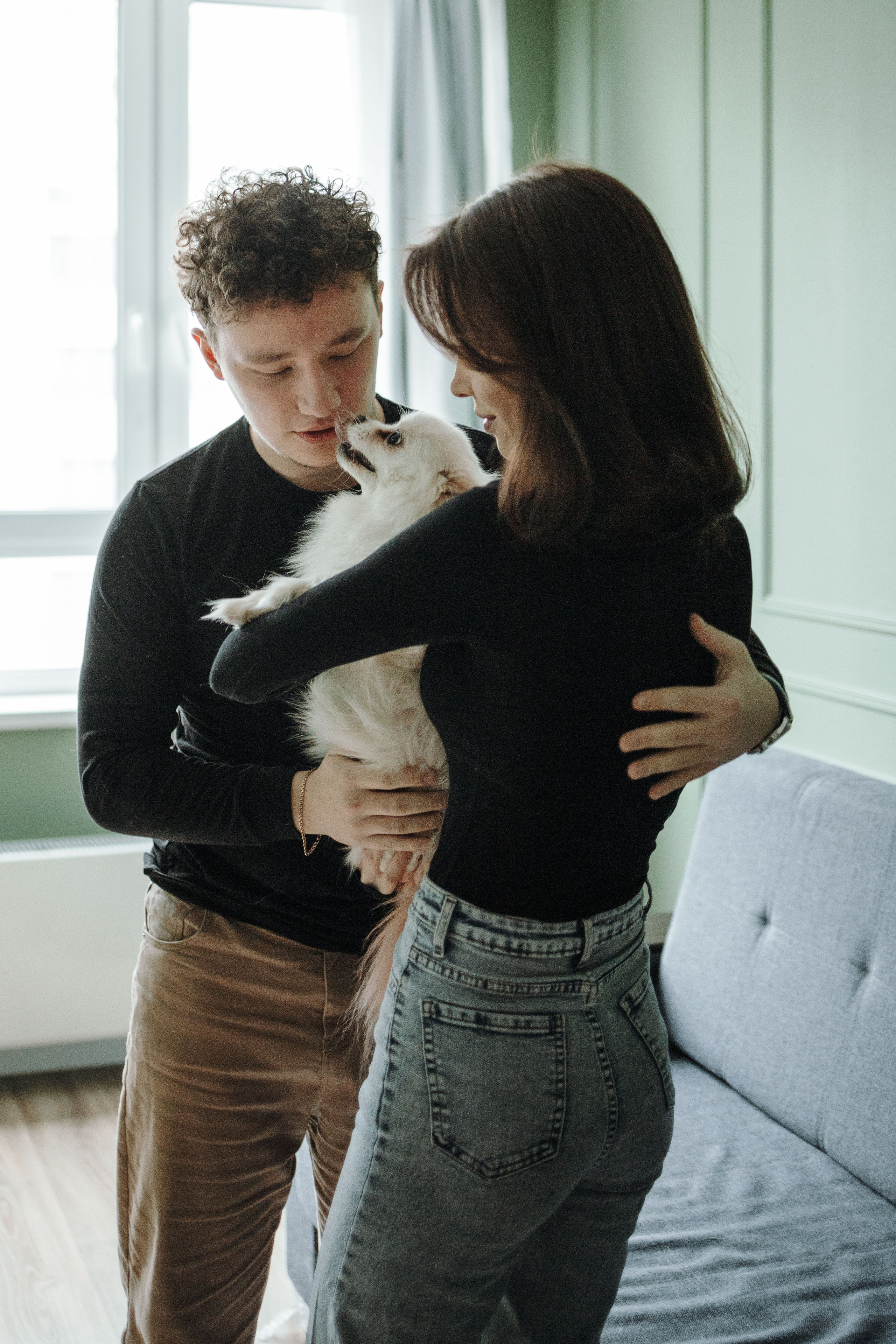 Шпиц Мася и ее семья