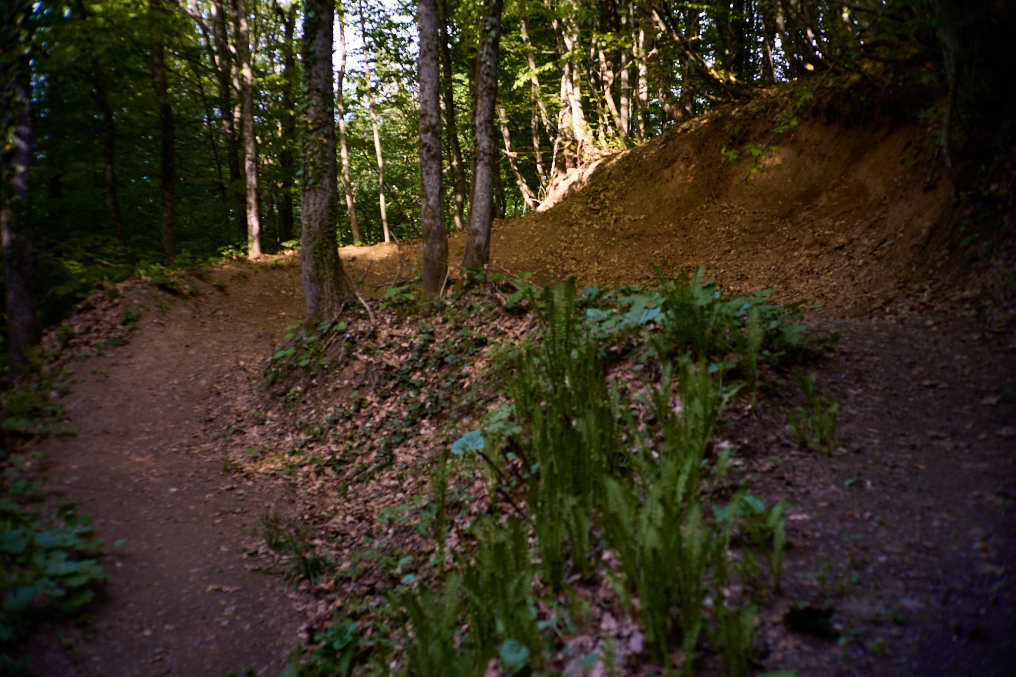 Красная Поляна, апрель 2024. Фотограф, Римма Невинская