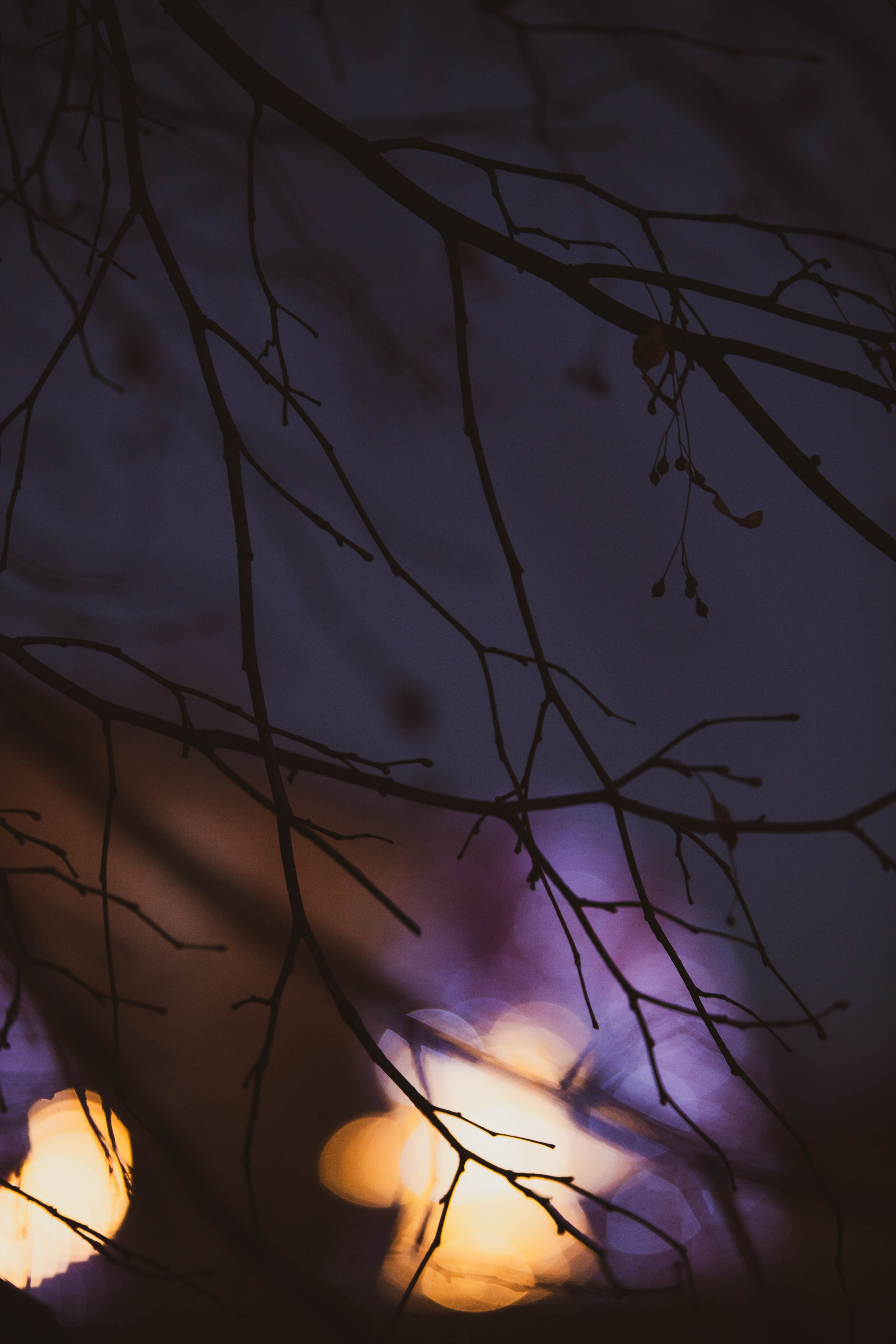 Ростокинский Акведук. Александра Мельниченко/ Бегающий фотограф