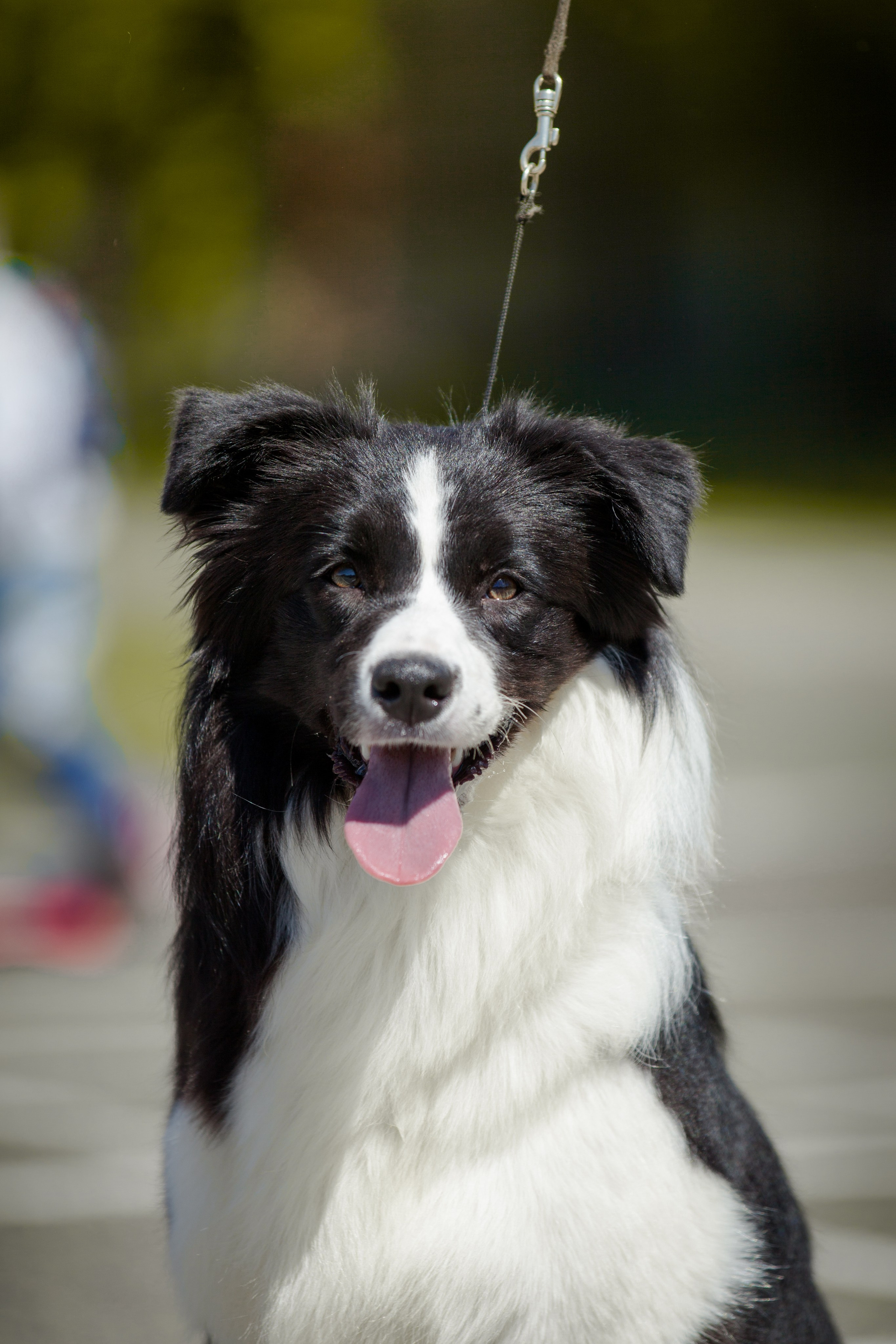 Зеленое в Оренбурге 19. О нас