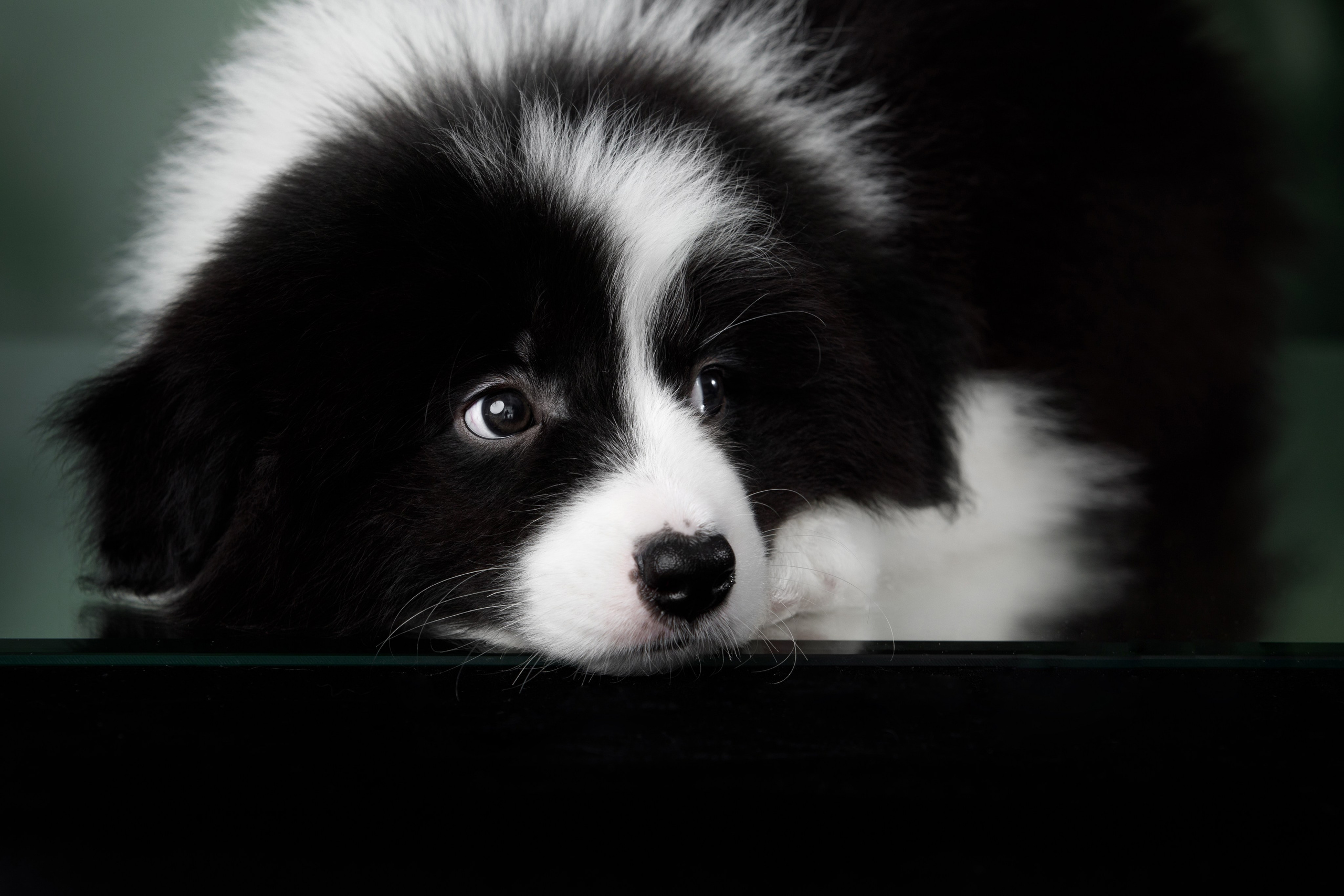 Март. Весна. 22. О нас