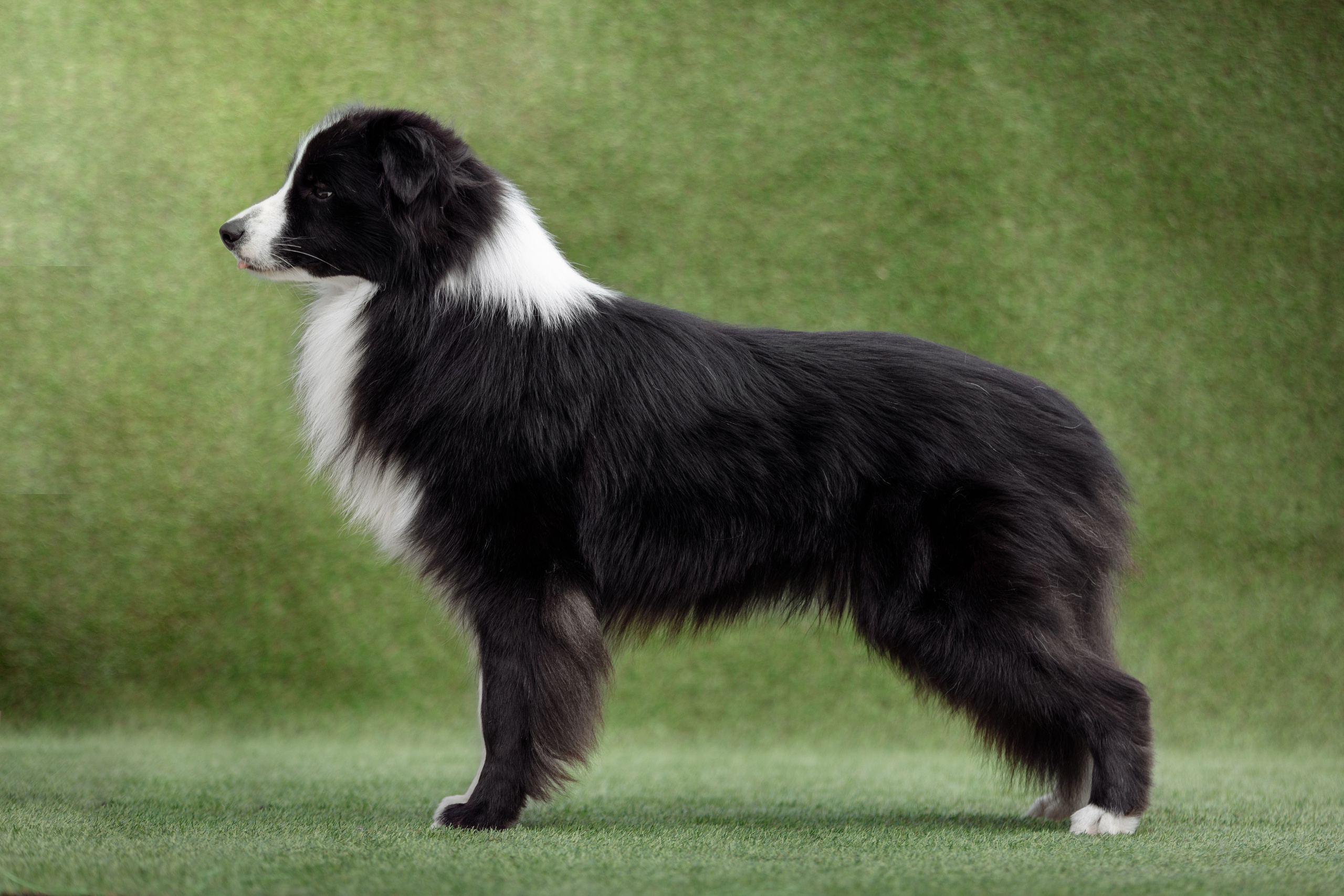 Свое место. О нас