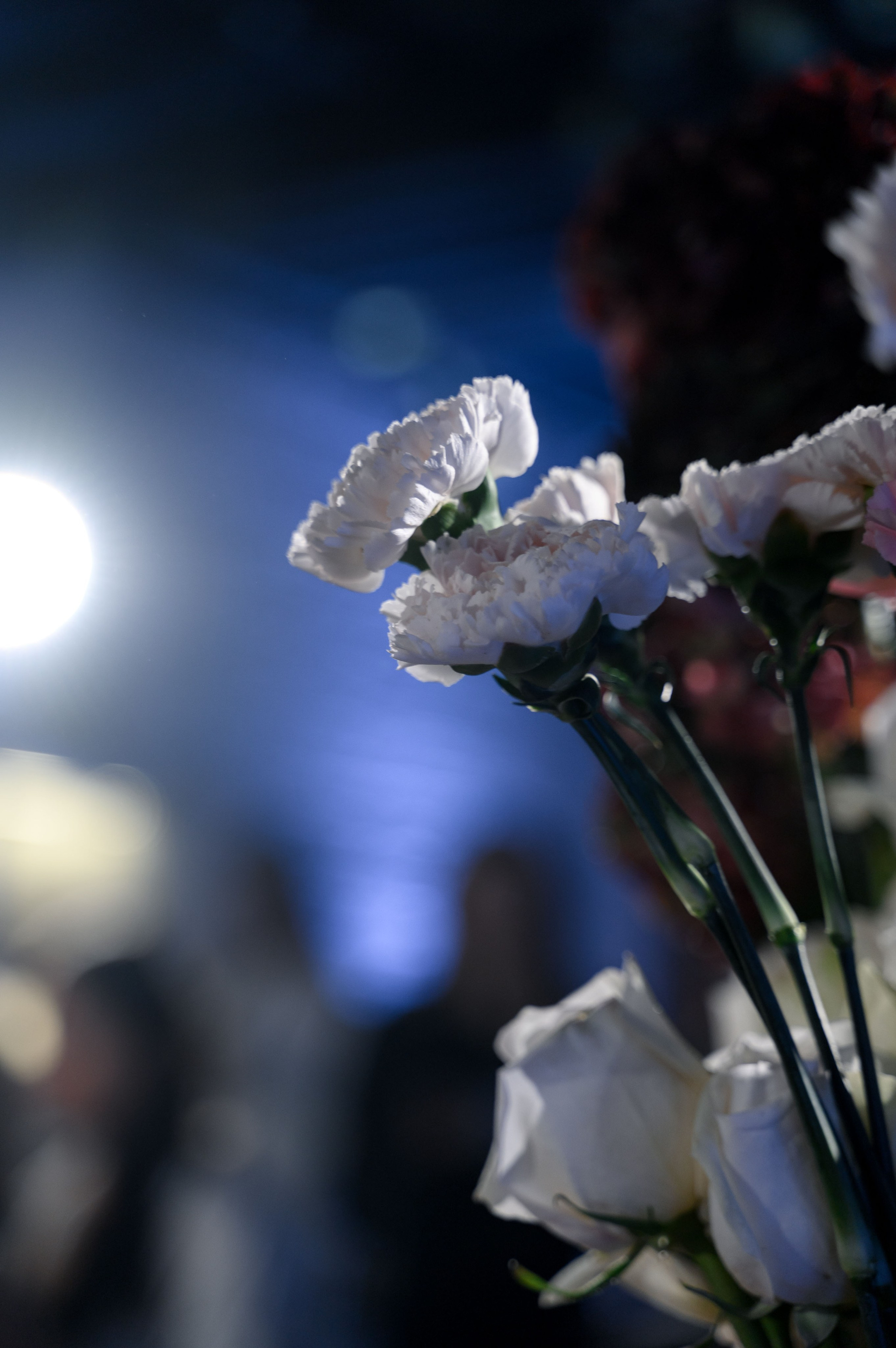 MINT FLOWERS. Свадебный фотограф Минск