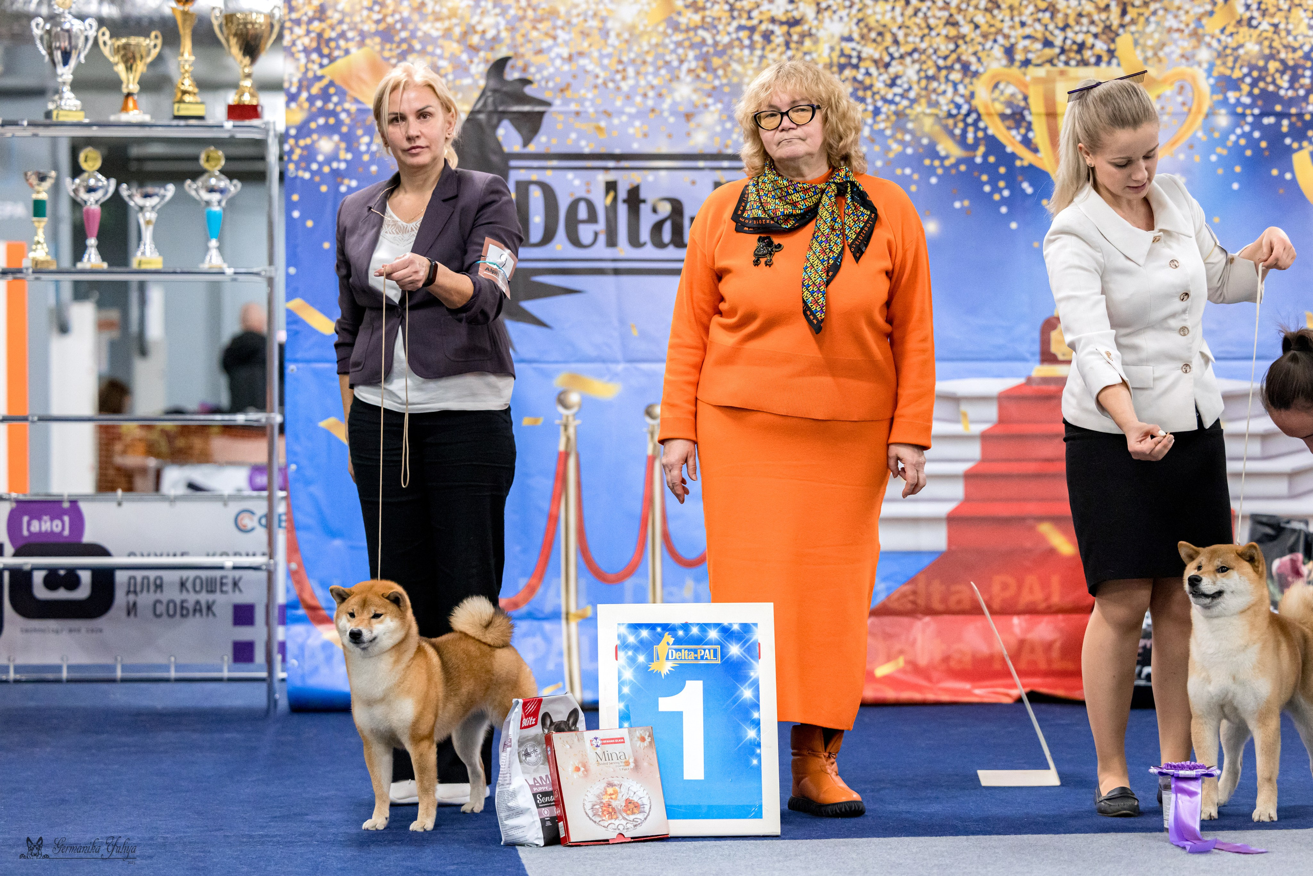 Сфера 29.10,Крокус 4.11,Сфера 12.11.2023. Фотограф-анималист Юлия Германика