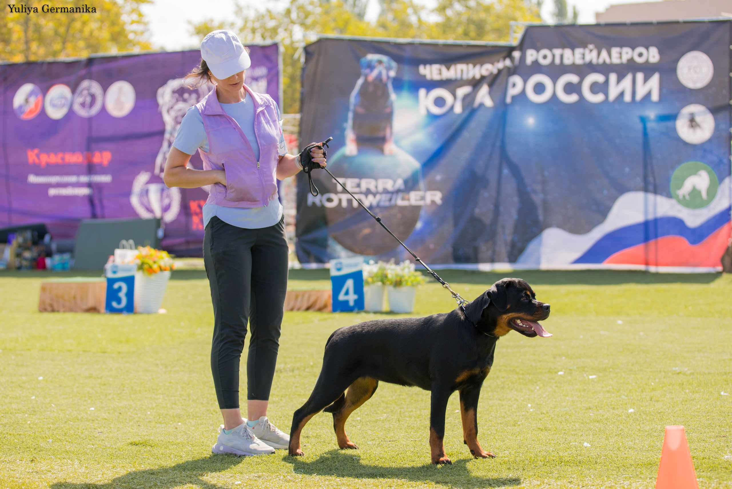 Анапа 16-17.09.2023 моно ротвейлеров. Фотограф-анималист Юлия Германика