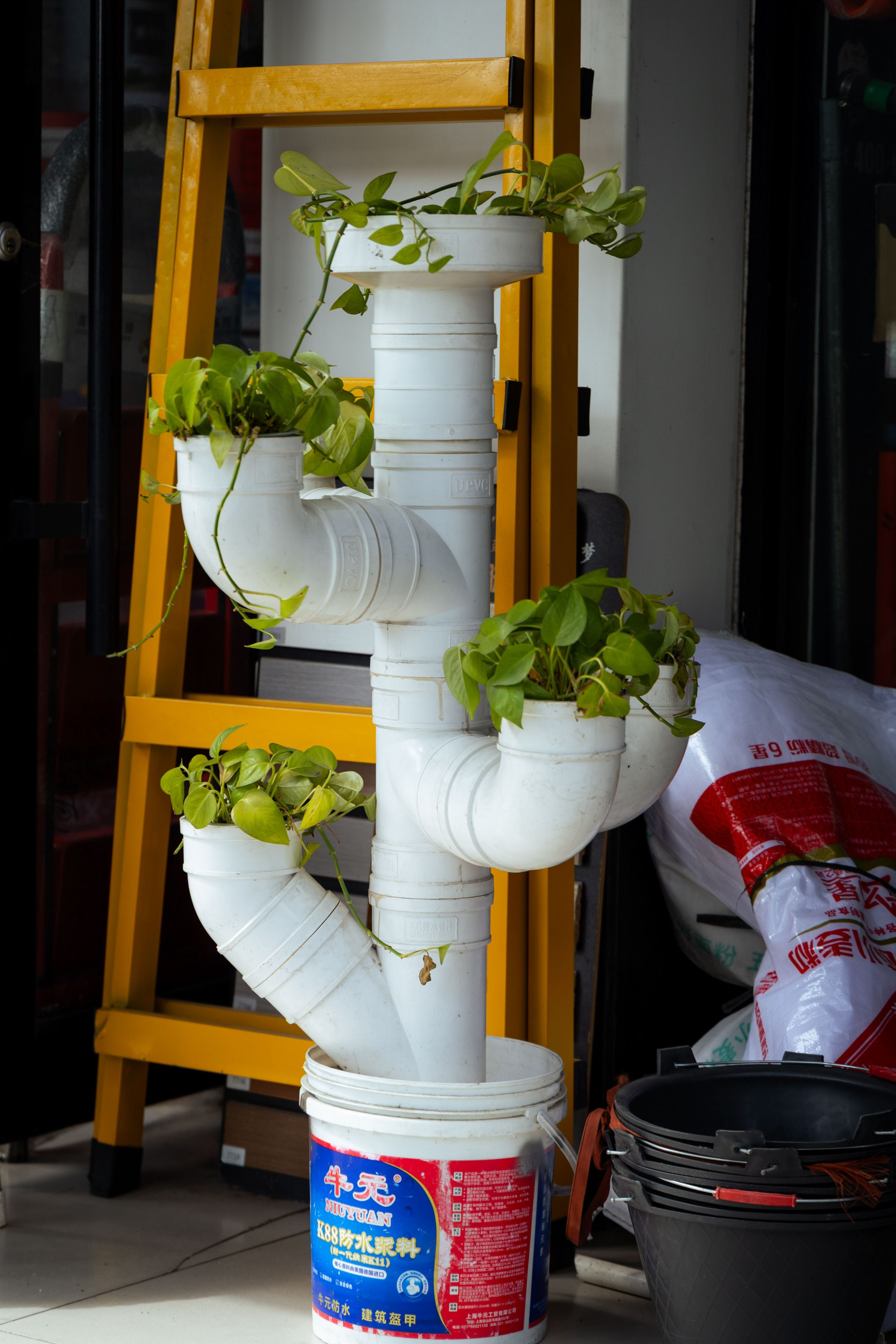 Шанхай (март 2026). Фотограф Виноградов Константин