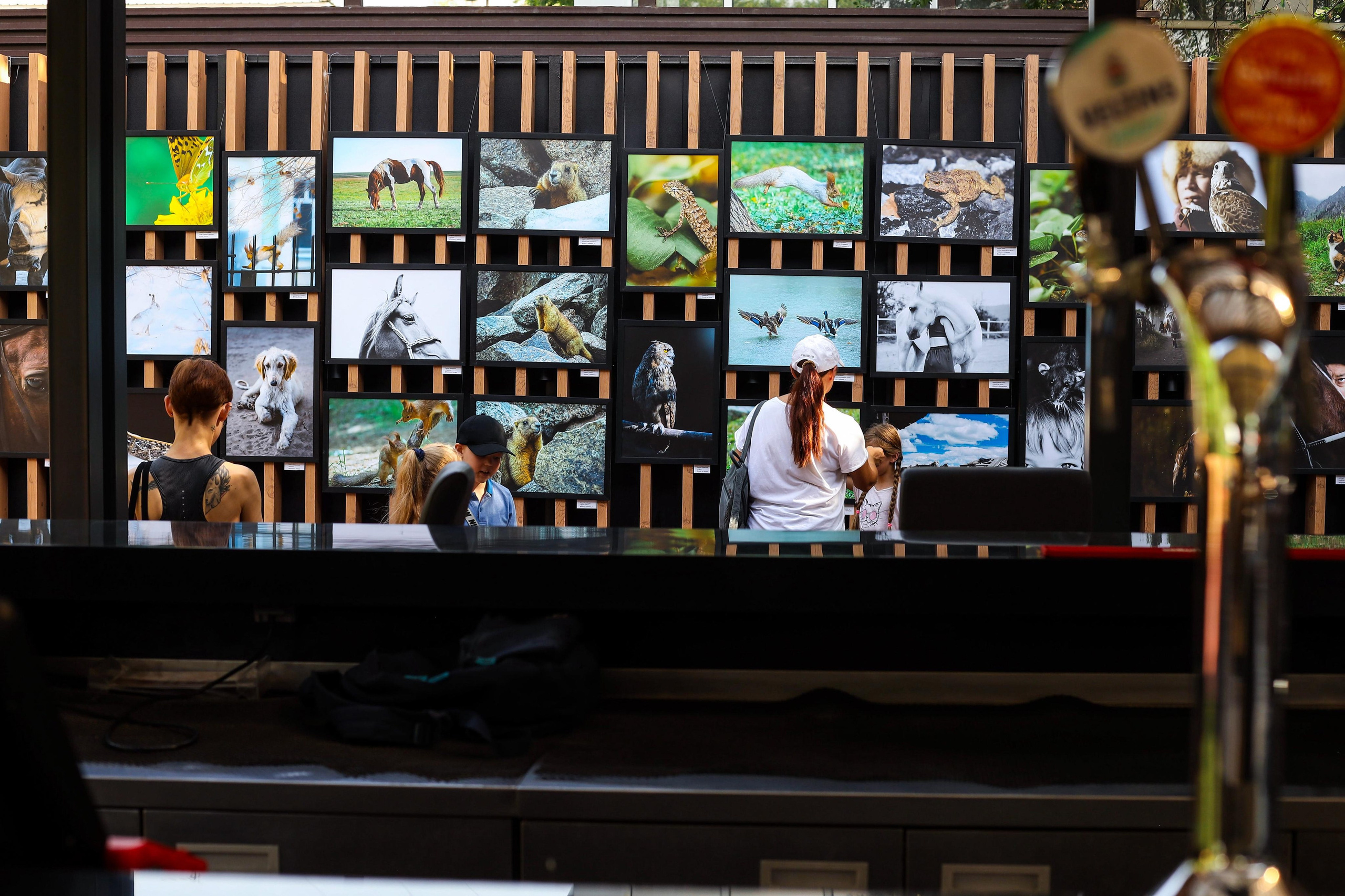 Выставки. Семейный и детский фотограф в Алматы Юровских Инесса