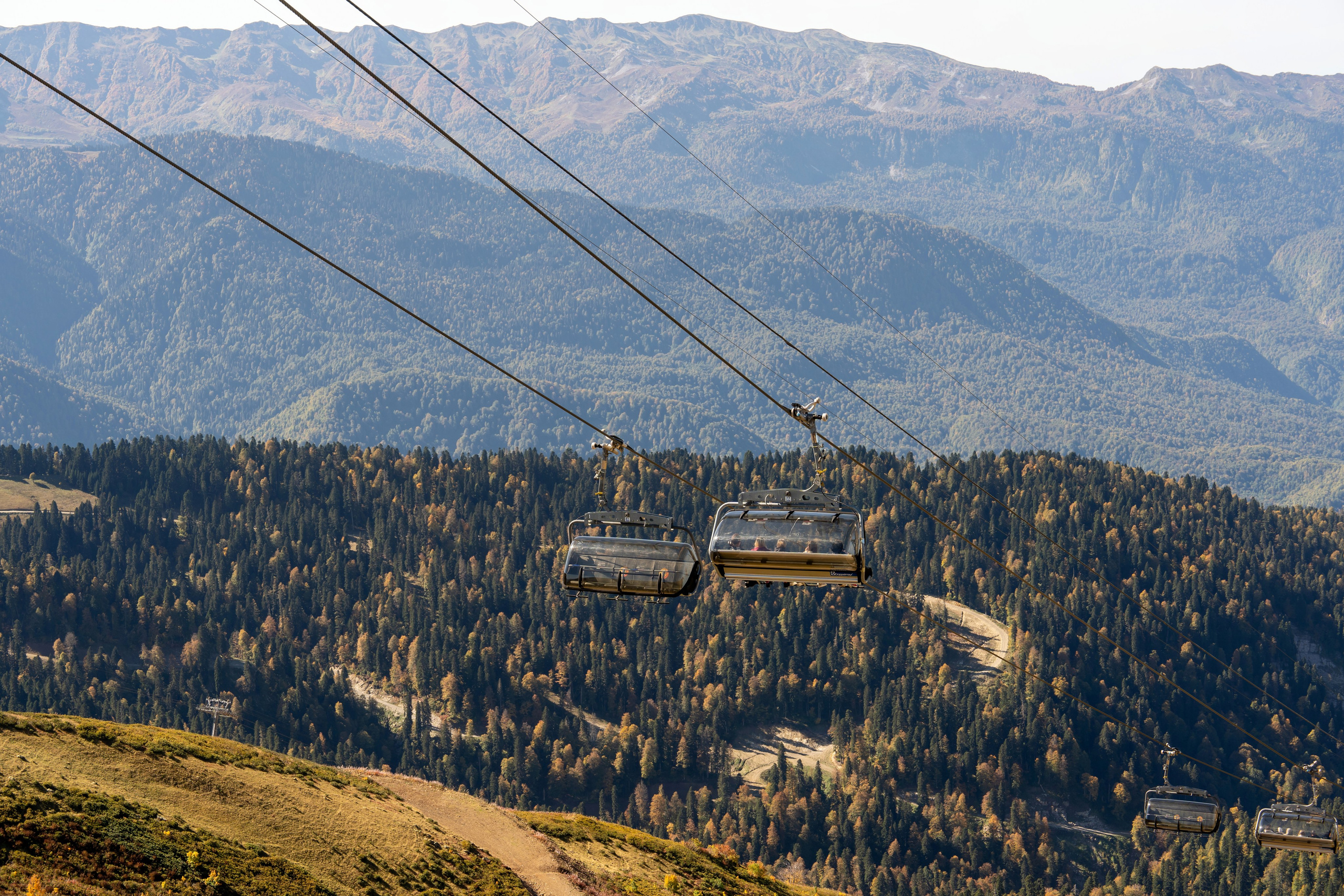 ChinaRosaFest 2024. Репортажный фотограф в Красной Поляне и Сочи Павлюченко Екатерина