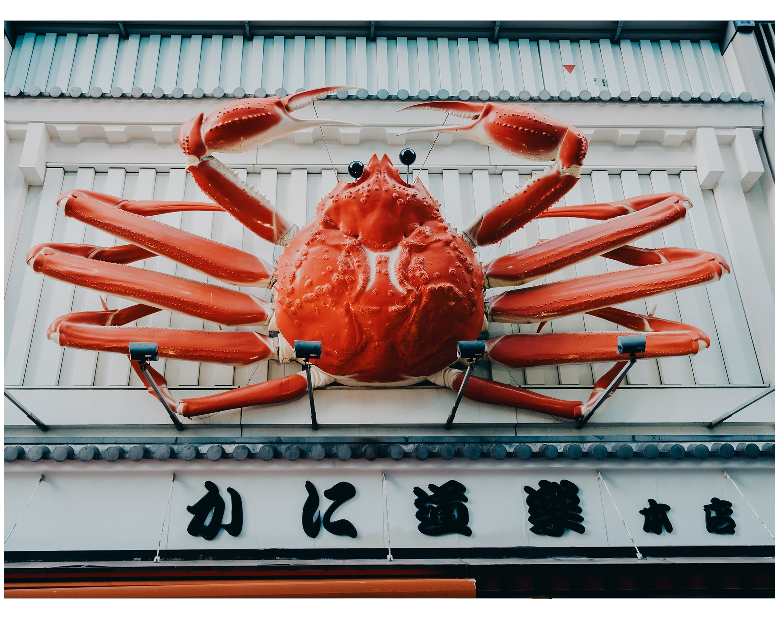 Авторские. -