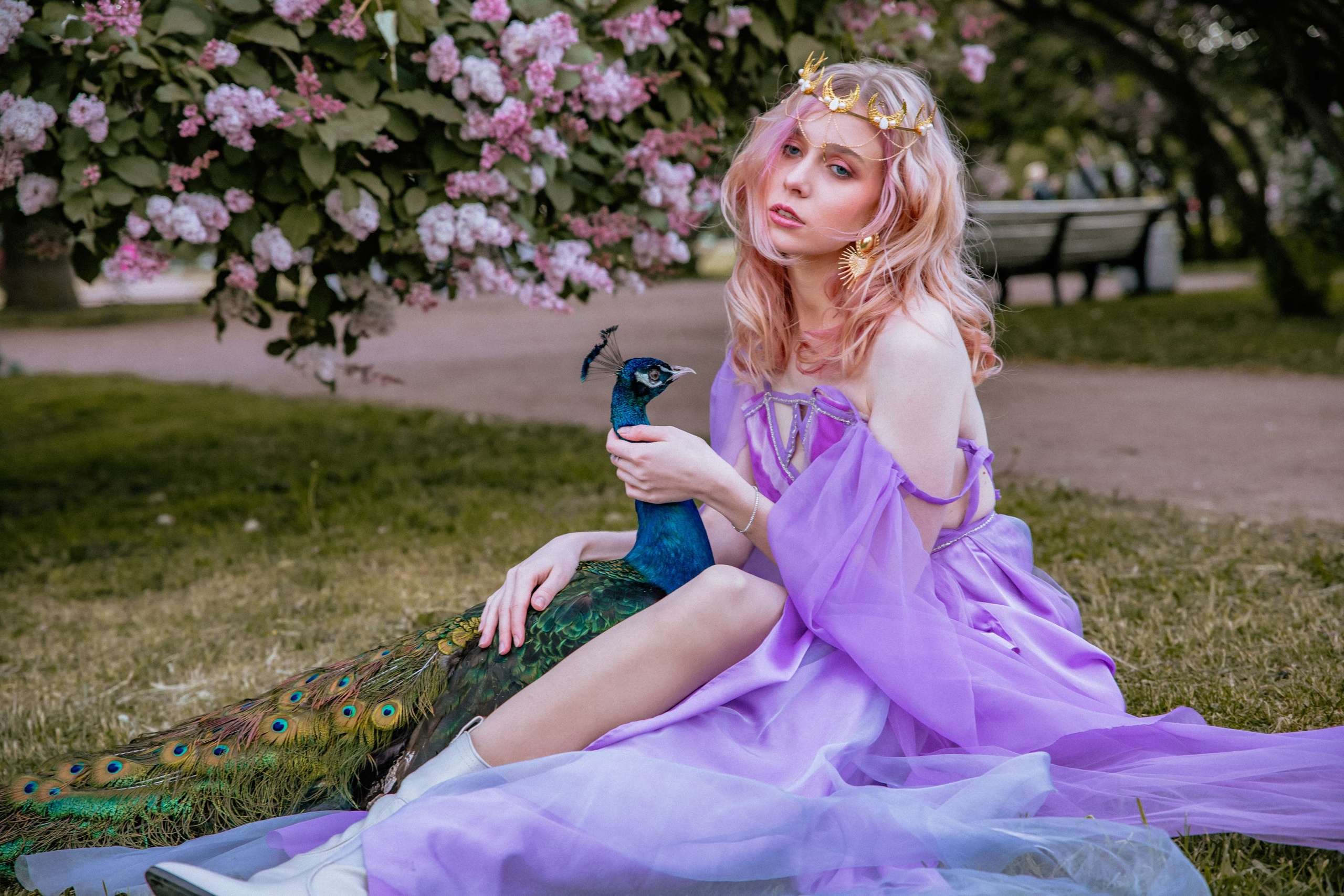 Павлин. Elena Sova — семейный и женский фотограф в Санкт-Петербурге