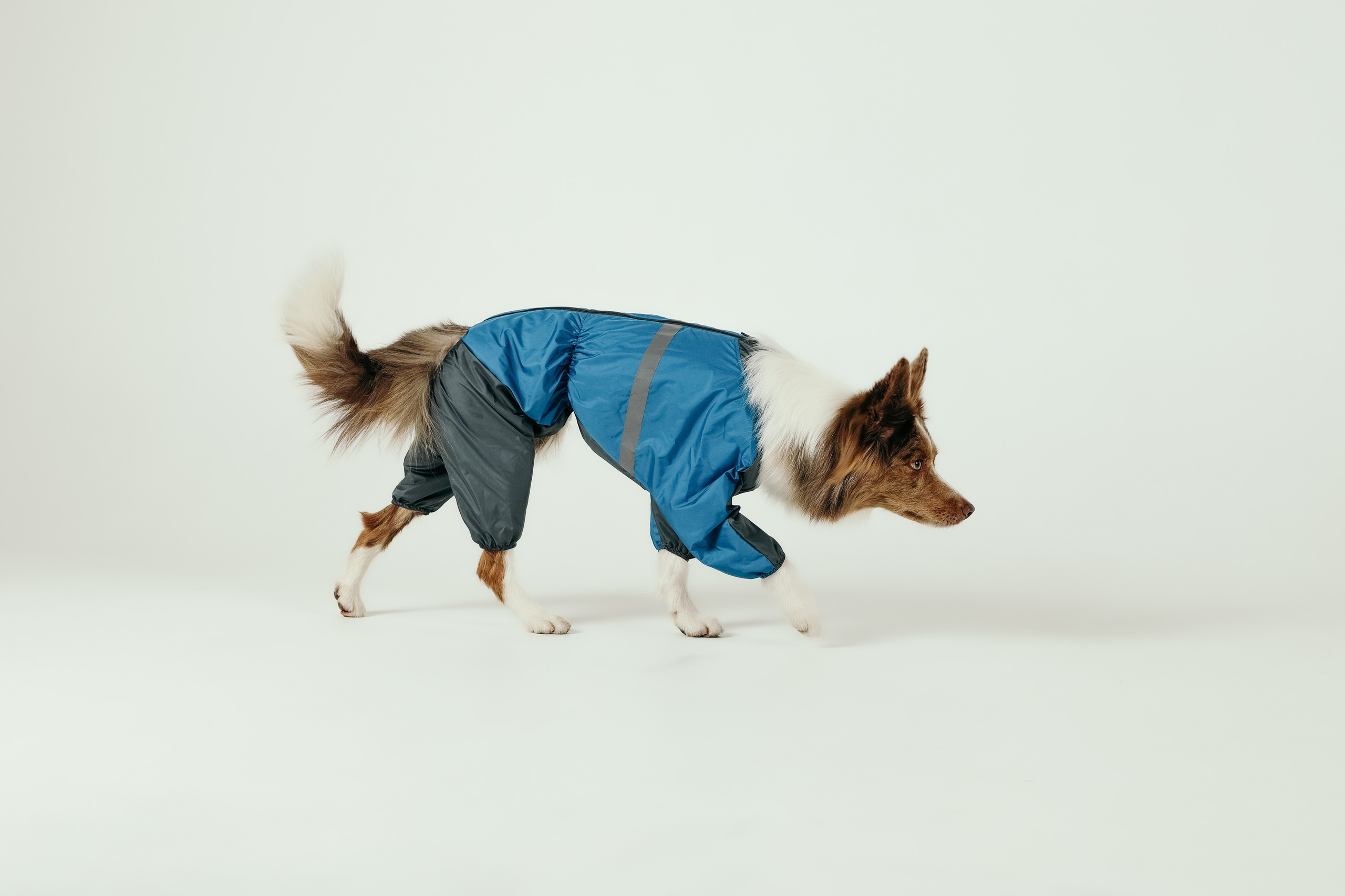 Для брендов. Фотограф- анималист Санкт-Петербург