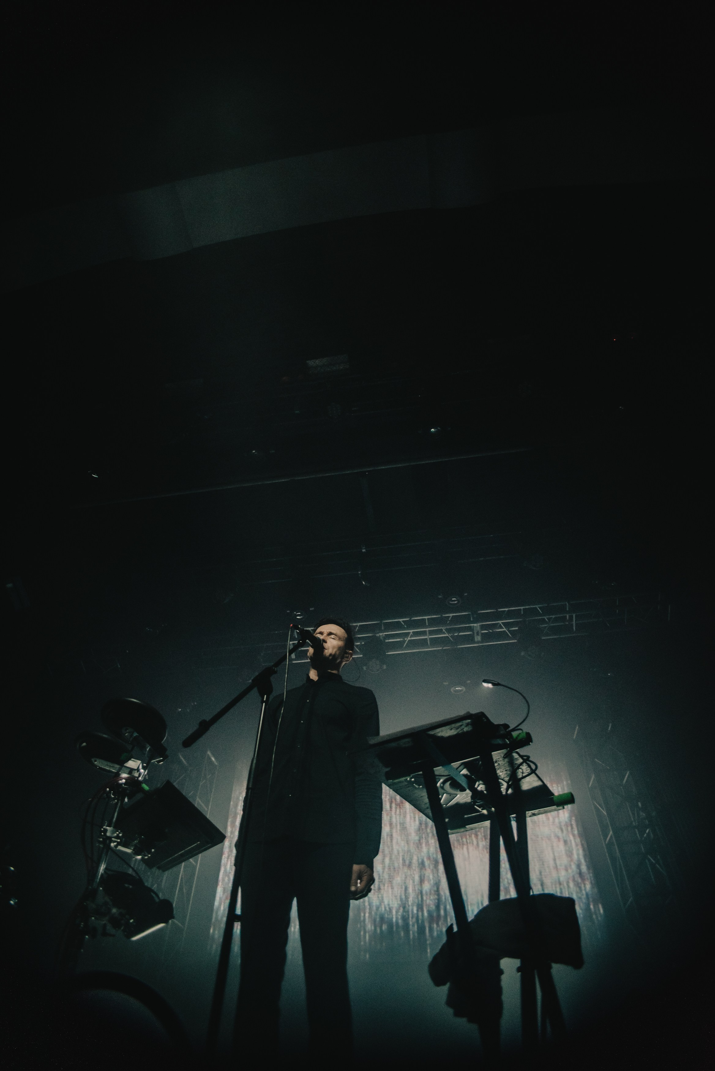 Дельфин | Gaudi. Контент фотограф Илья Урс