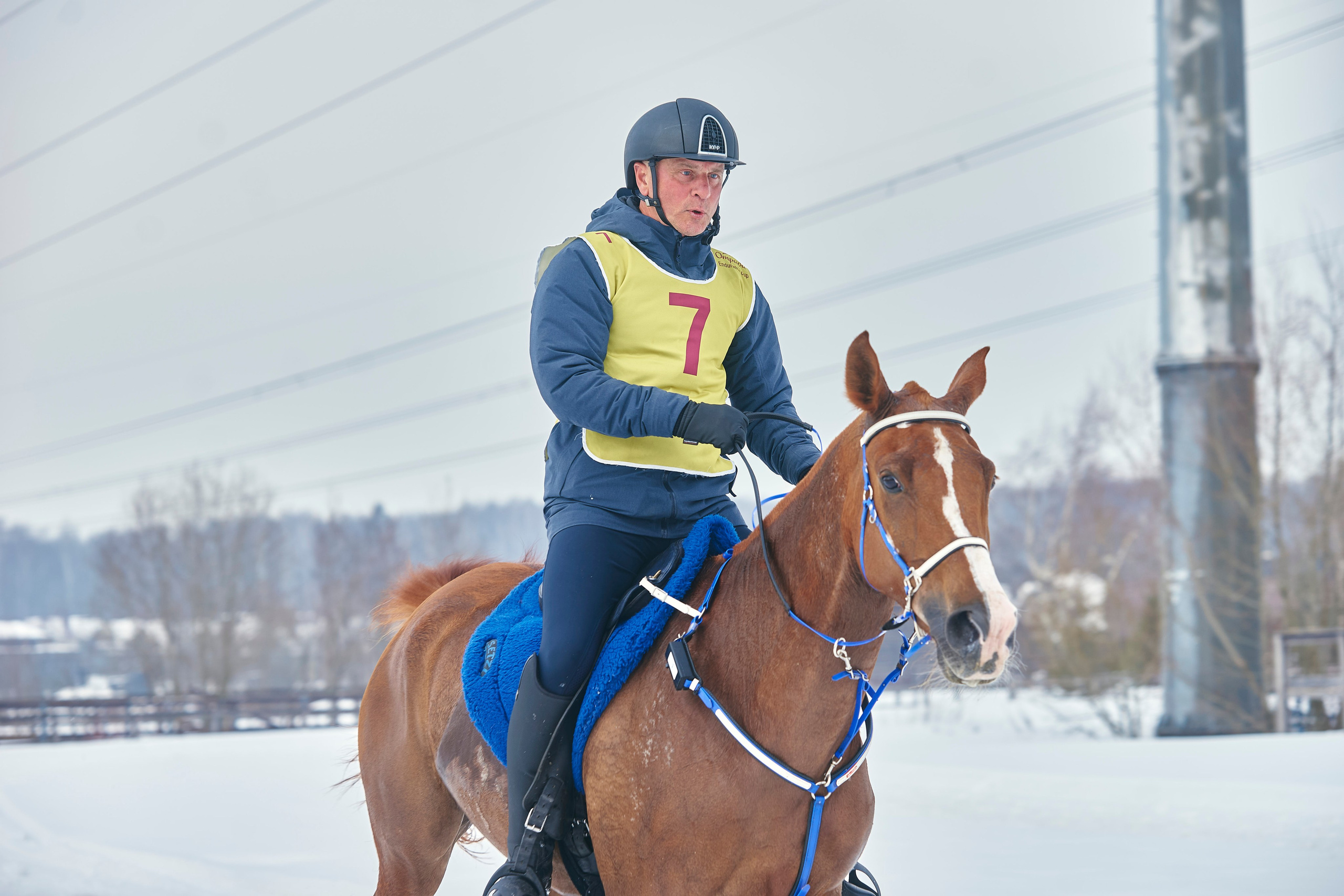 HORSE RACING. Фотограф Наталья Леонова