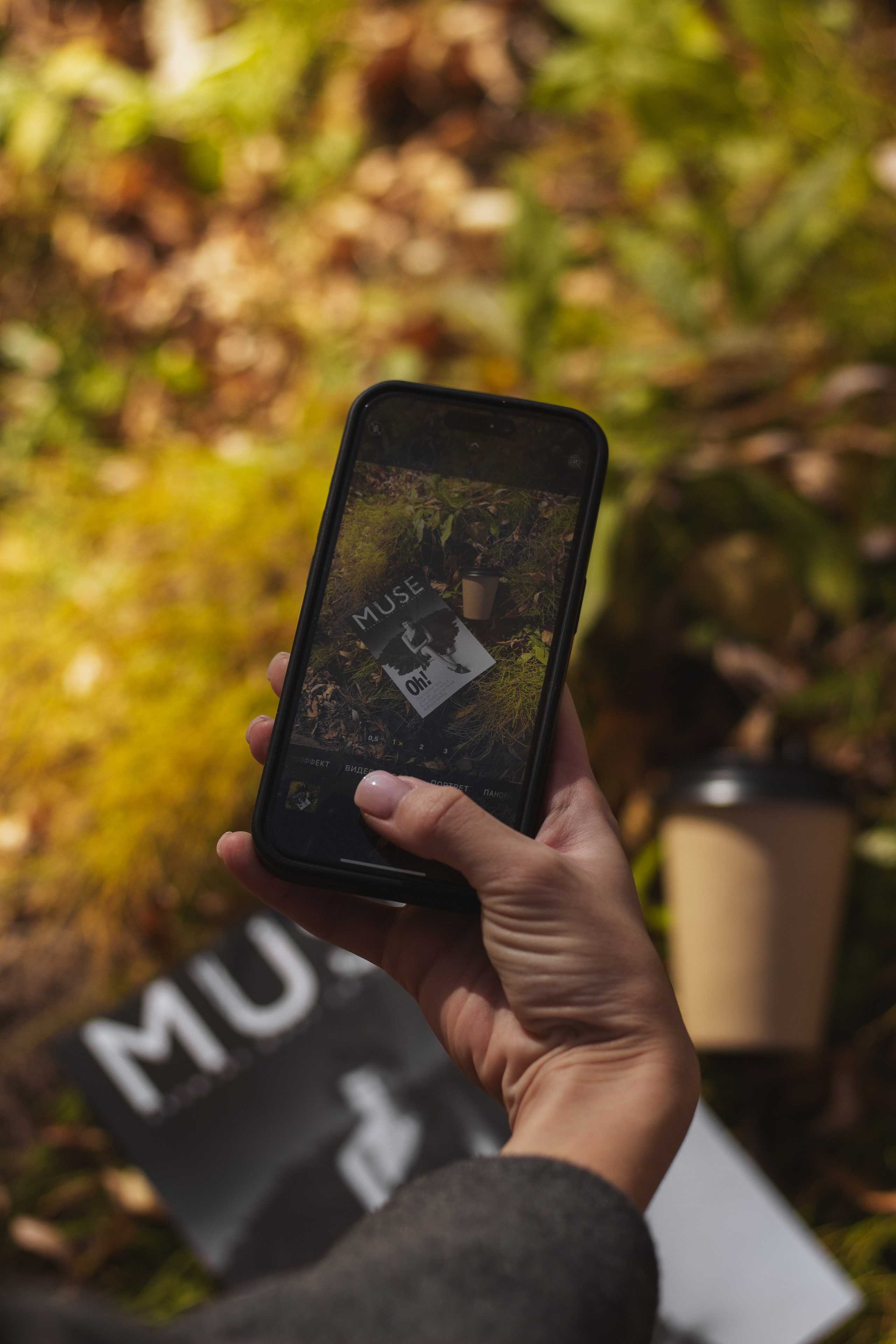 Осенняя прогулка. Фотограф Новосибирск