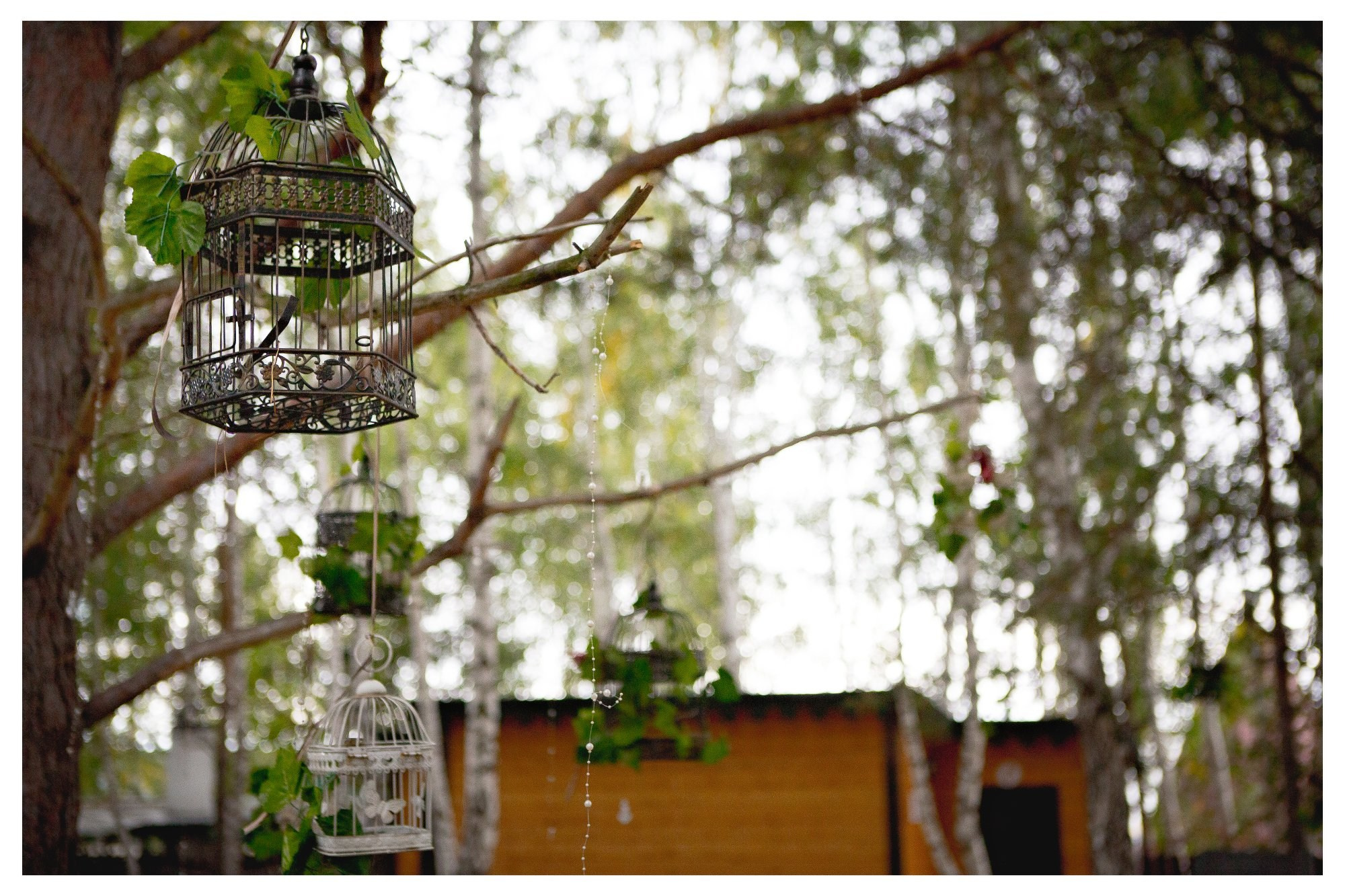 Свадьба Димы и Вики. Фотограф Георгий Сапожников