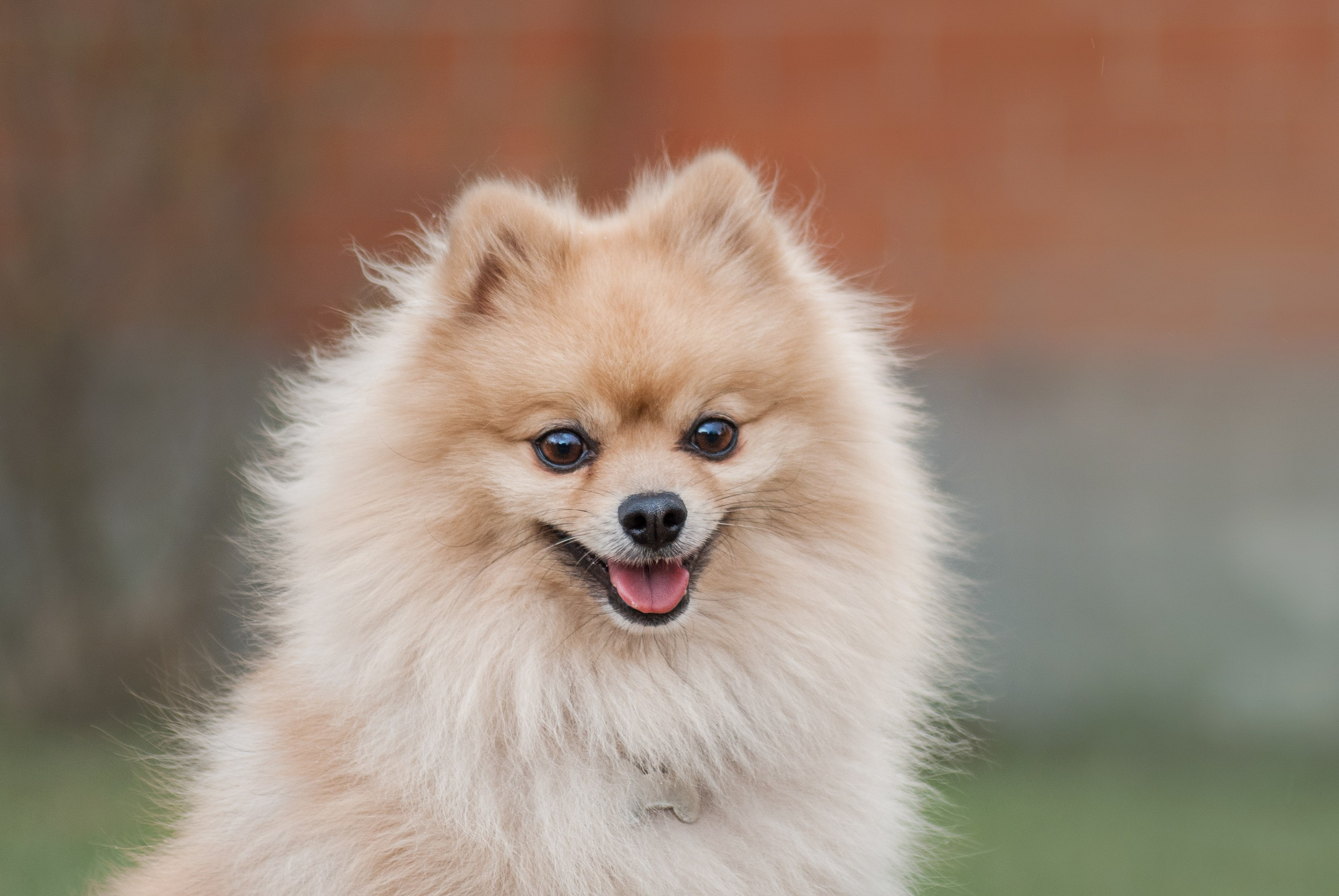 Цефей. Фотограф в Тюмени Лизавета Сапицкая