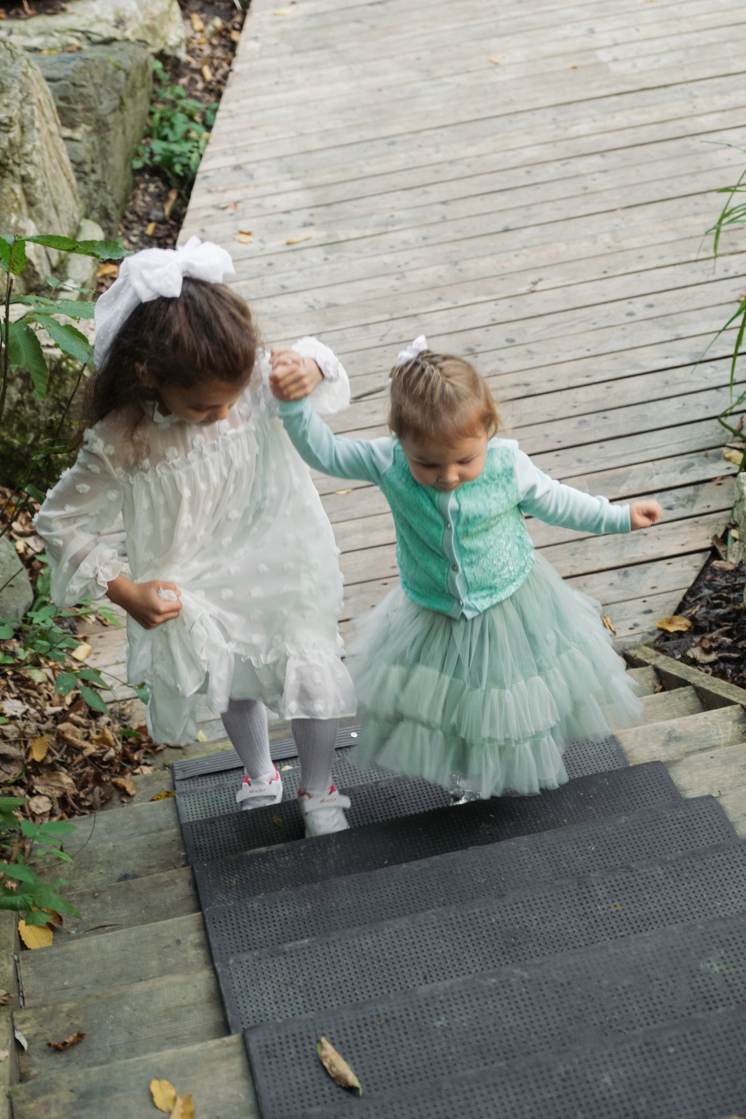 Кот и Дракон. Свадебный Видеограф Фотограф в Сочи