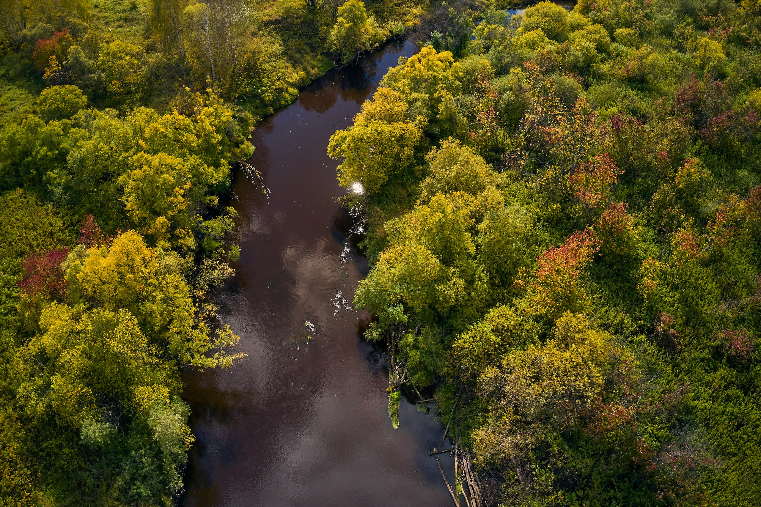 Съемка в полете. DMITRY MOISEENKO — фотограф, художник, топ-стилист