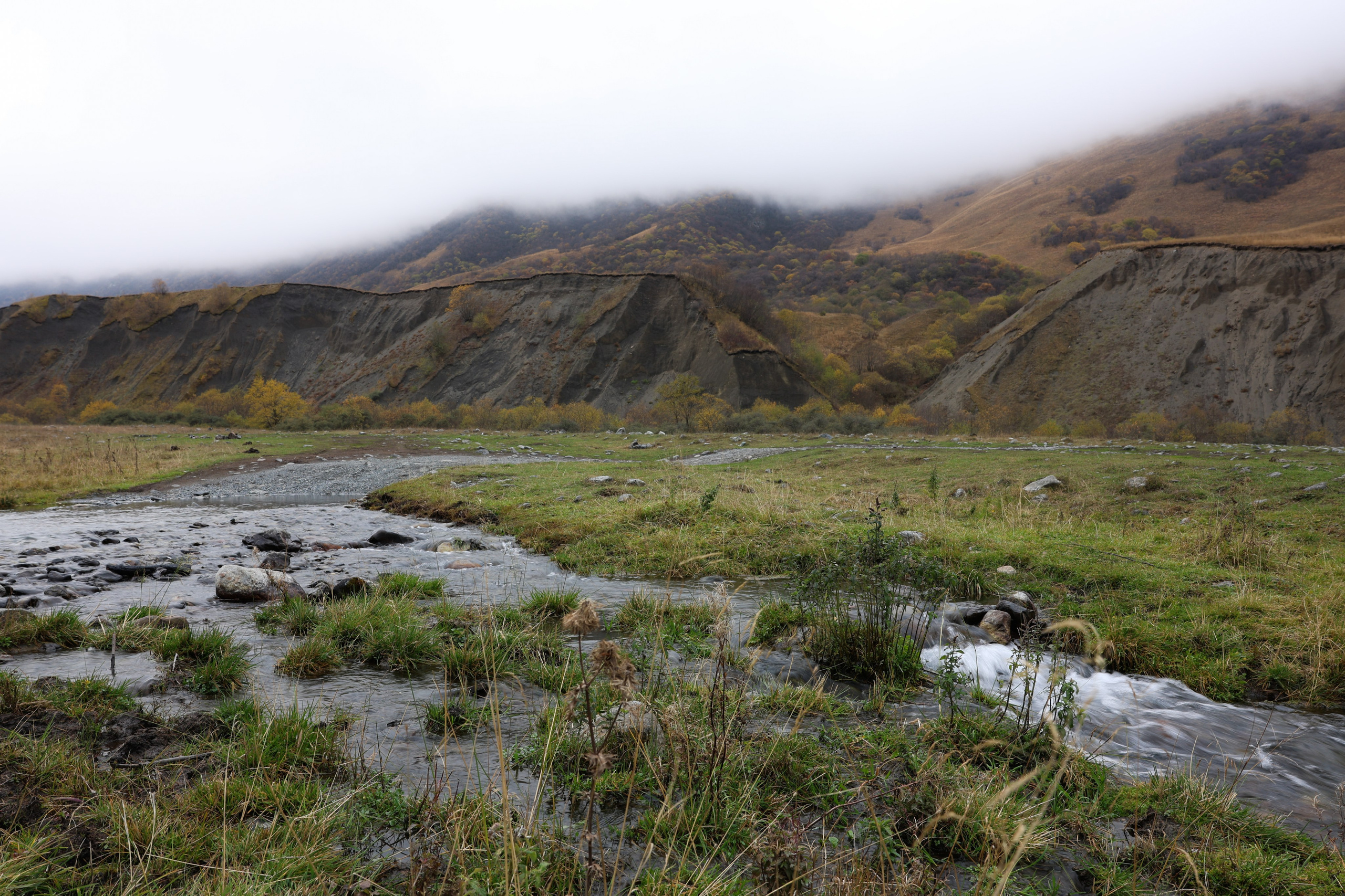 Фотограф Мария Алексеева. Мария Алексеева. Фотограф в Москве