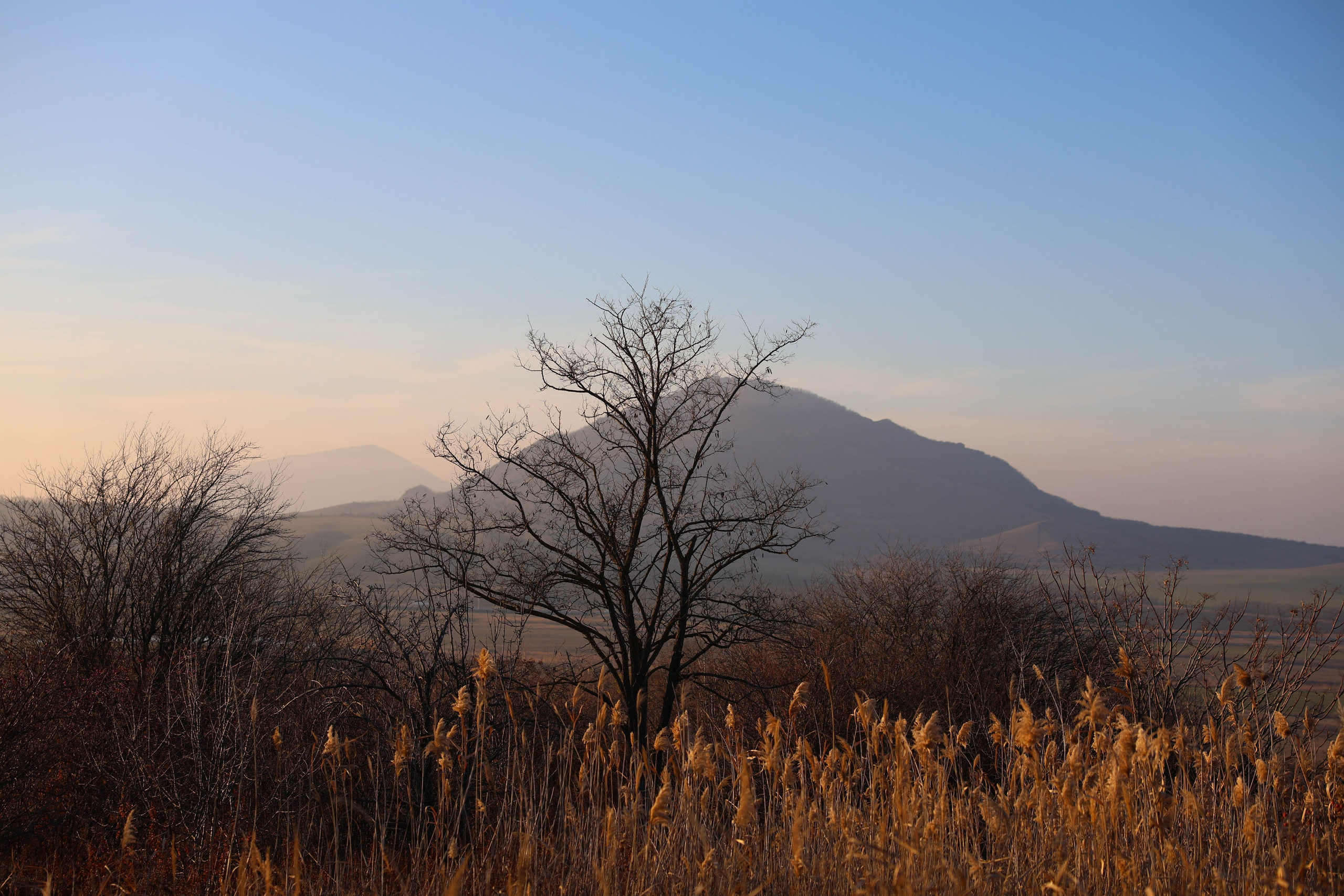 Фотограф Мария Алексеева. Мария Алексеева. Фотограф в Москве