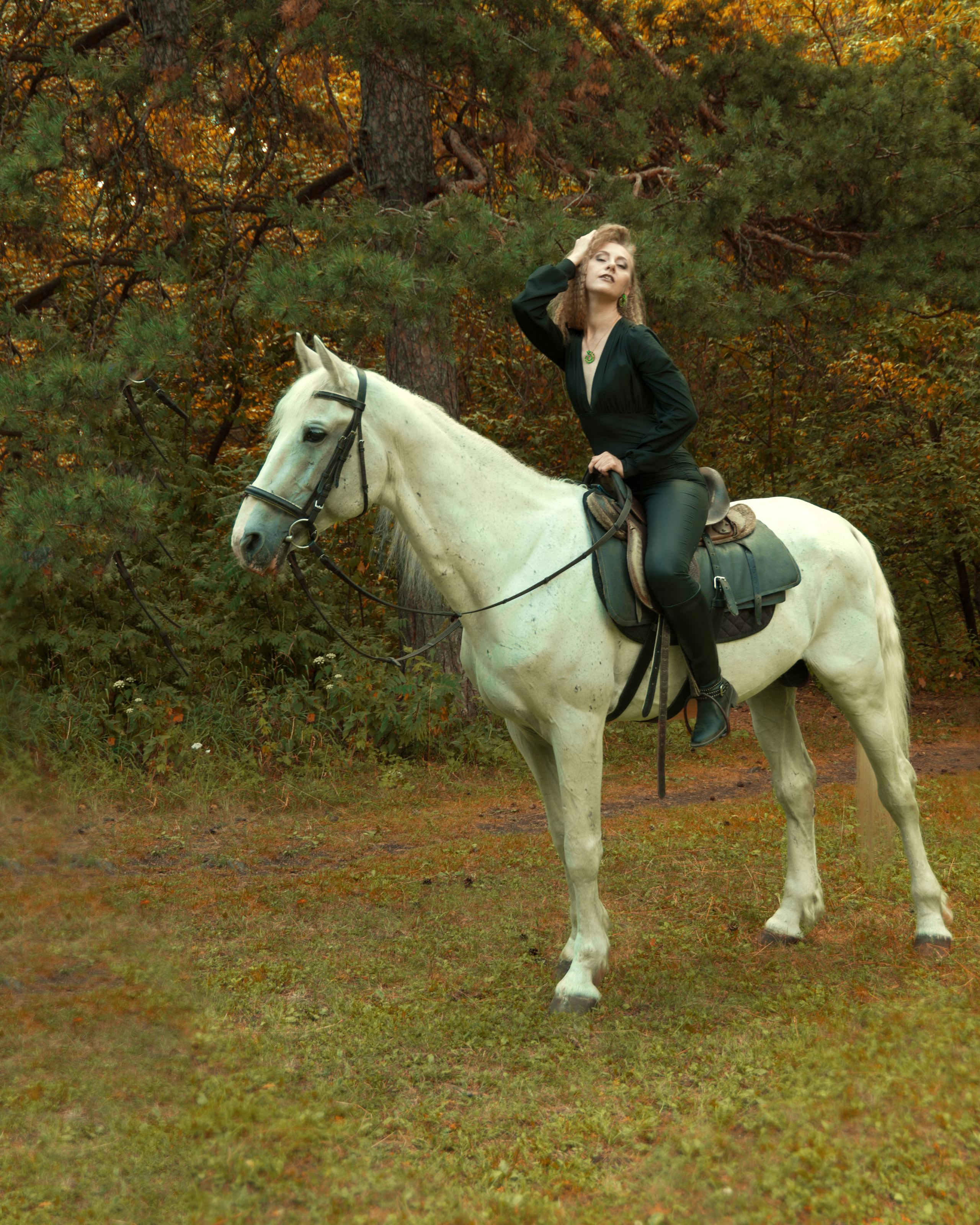 Проект «Миледи». Фотограф Марина Доглядная Челябинск фотосессии с лошадьми, мотоциклами