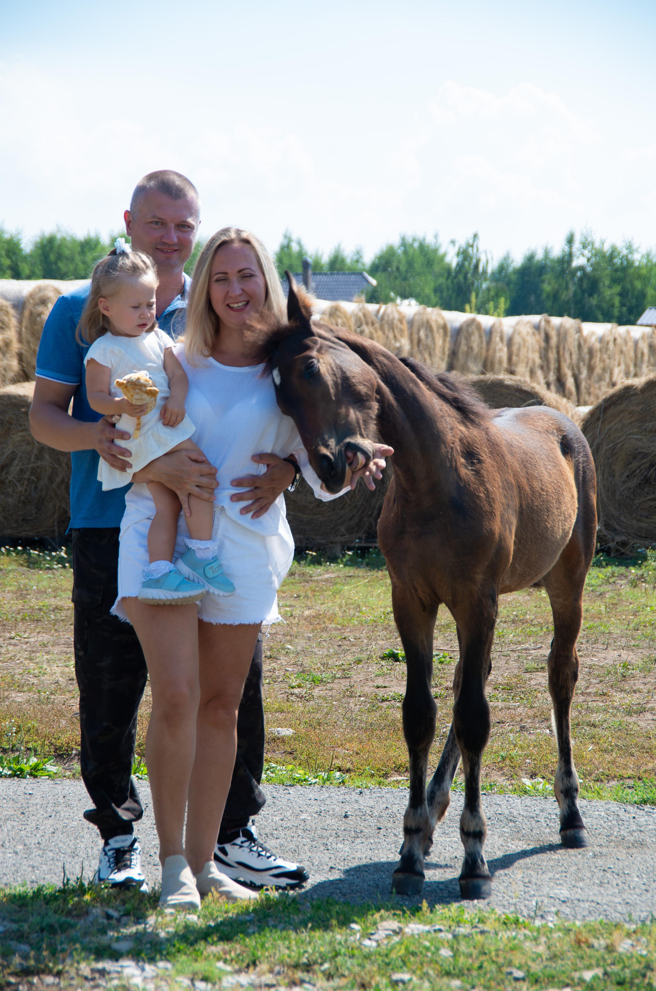 Уикенд на ферме. Фотограф Марина Доглядная Челябинск фотосессии с лошадьми, мотоциклами