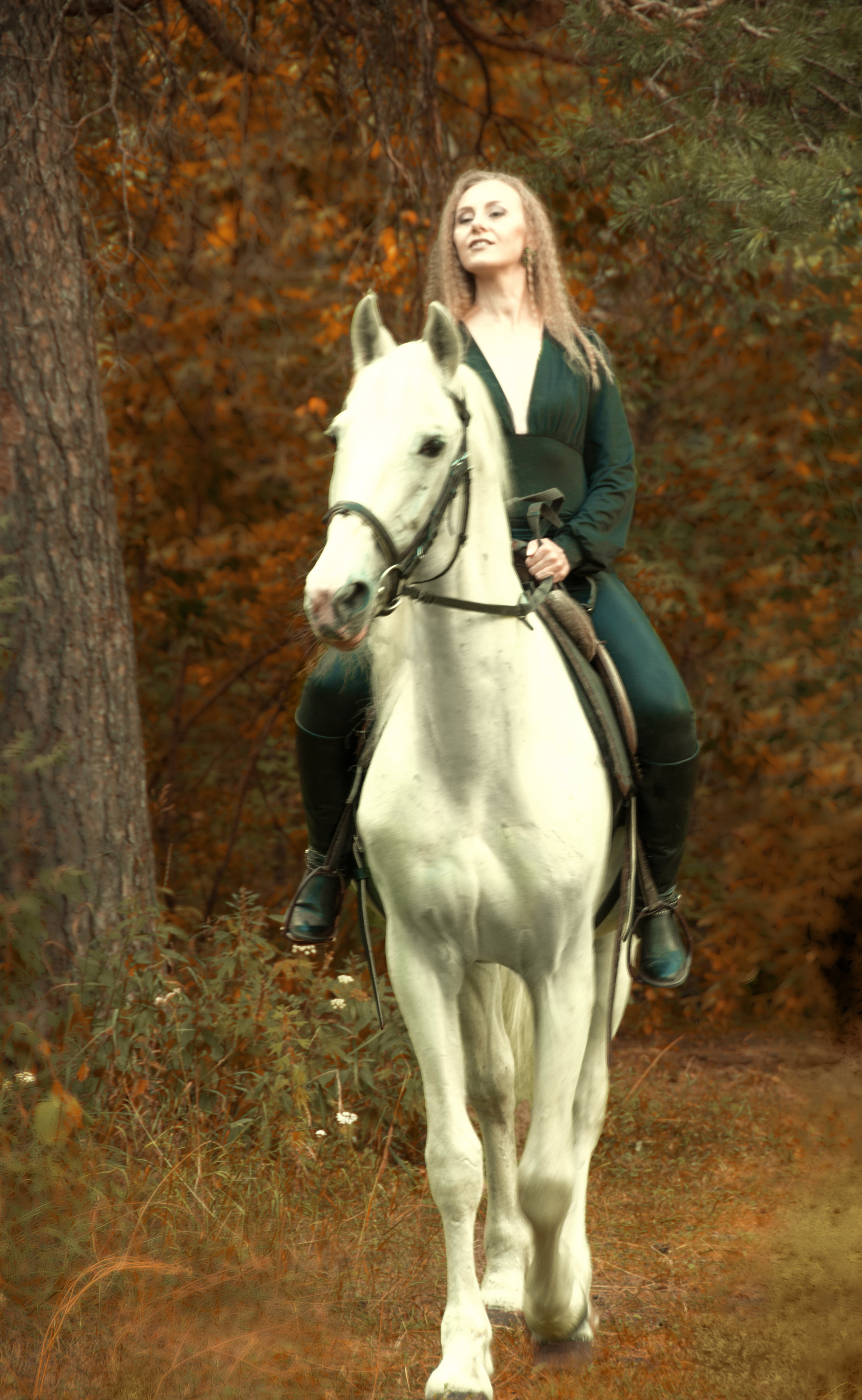 Проект «Миледи». Фотограф Марина Доглядная Челябинск фотосессии с лошадьми, мотоциклами