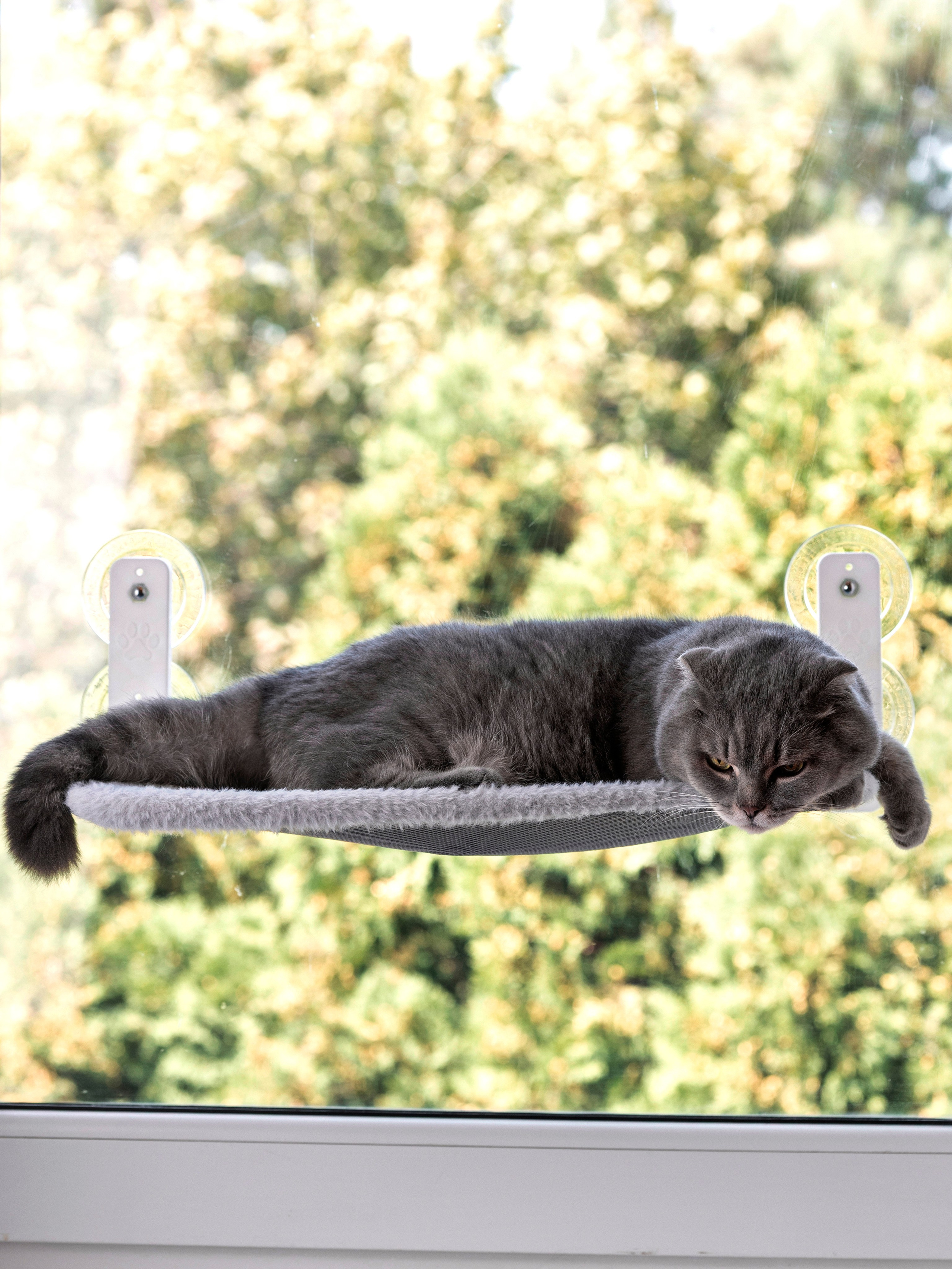 CAT. Агенство визуального контента