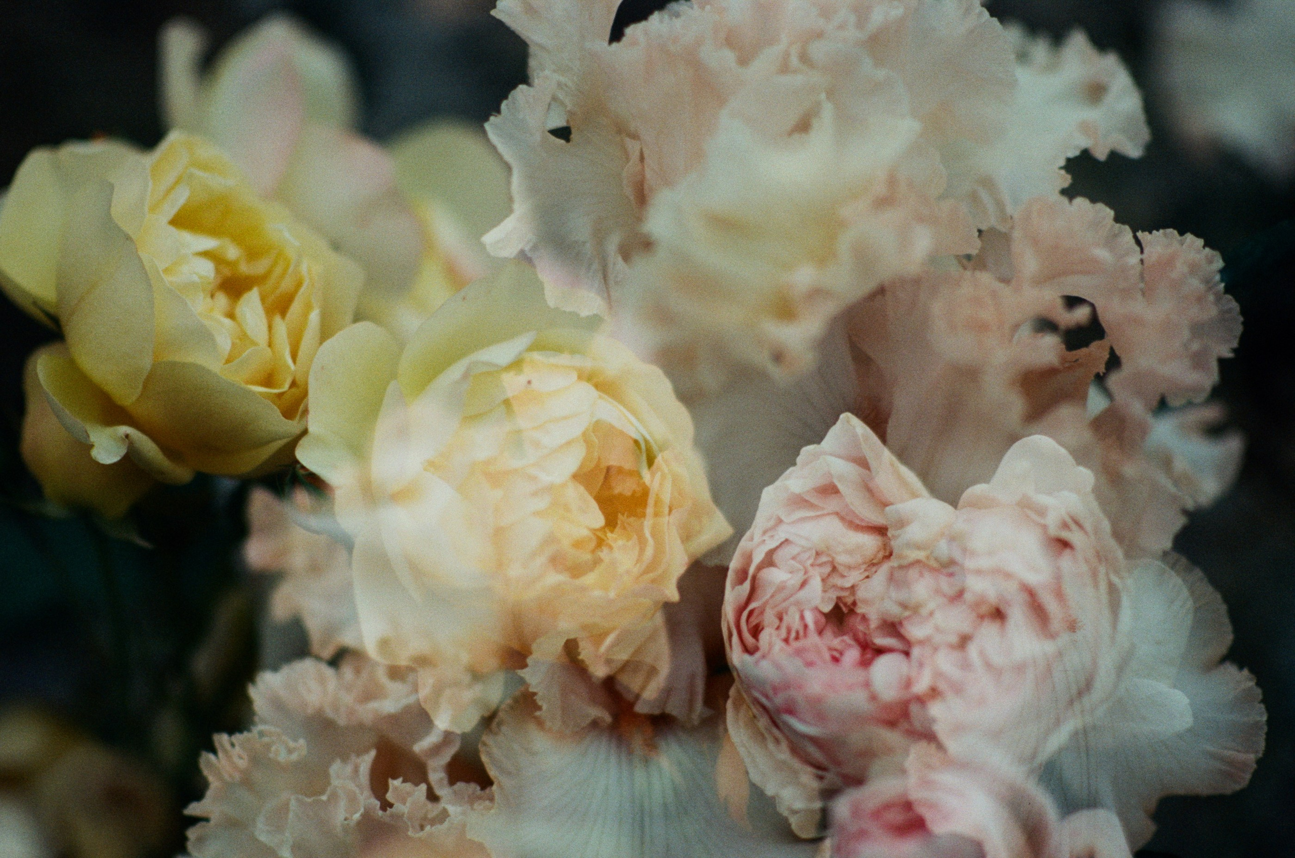 Pain shopping // ukraine, crimea V. EVER EXPOSED