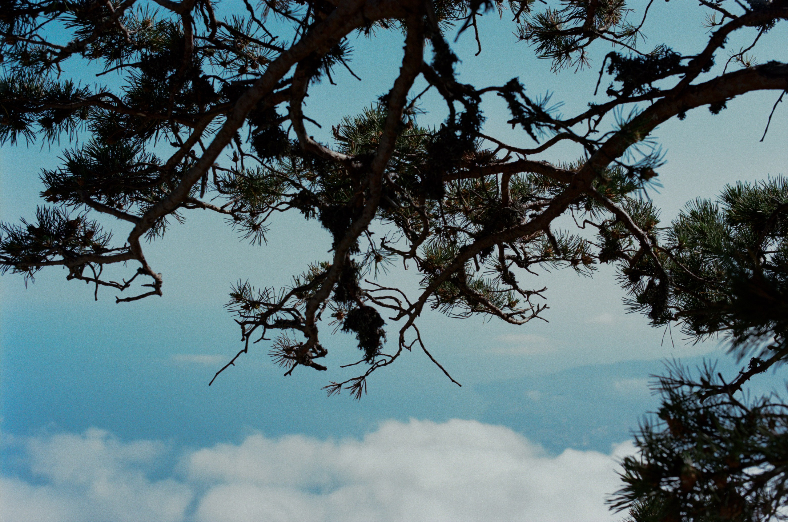 Kool-aid // ukraine, crimea II. EVER EXPOSED