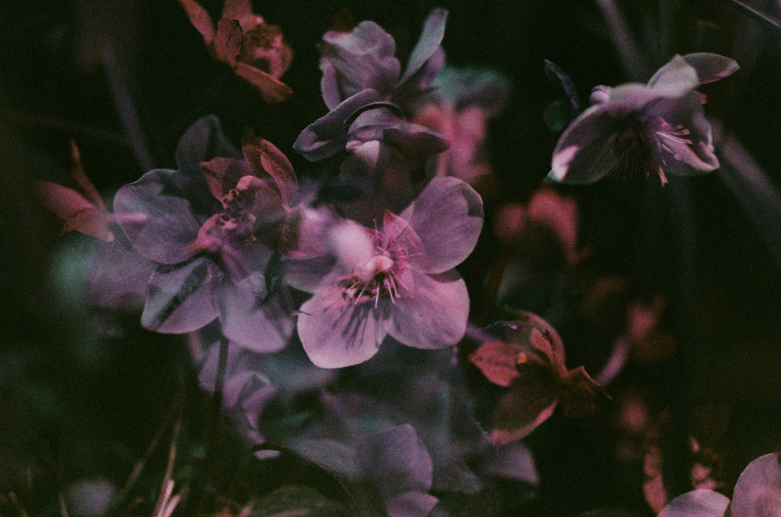 If i get high II. EVER EXPOSED