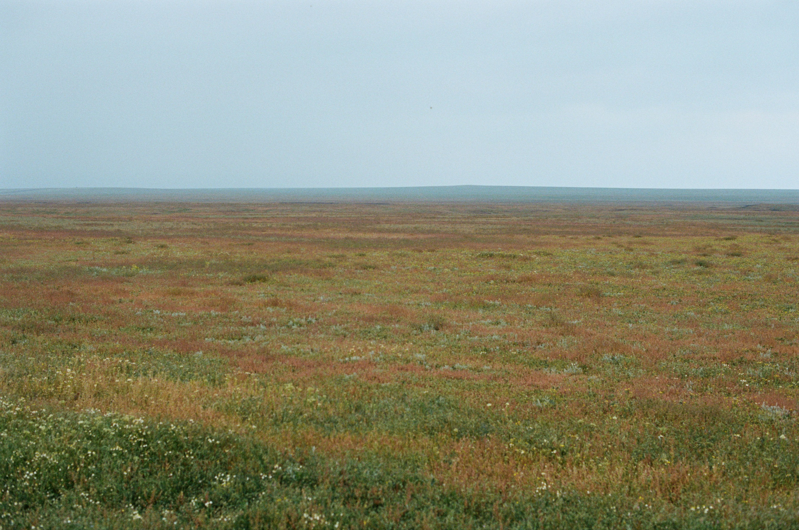 Champagne supernova // ukraine, crimea. EVER EXPOSED