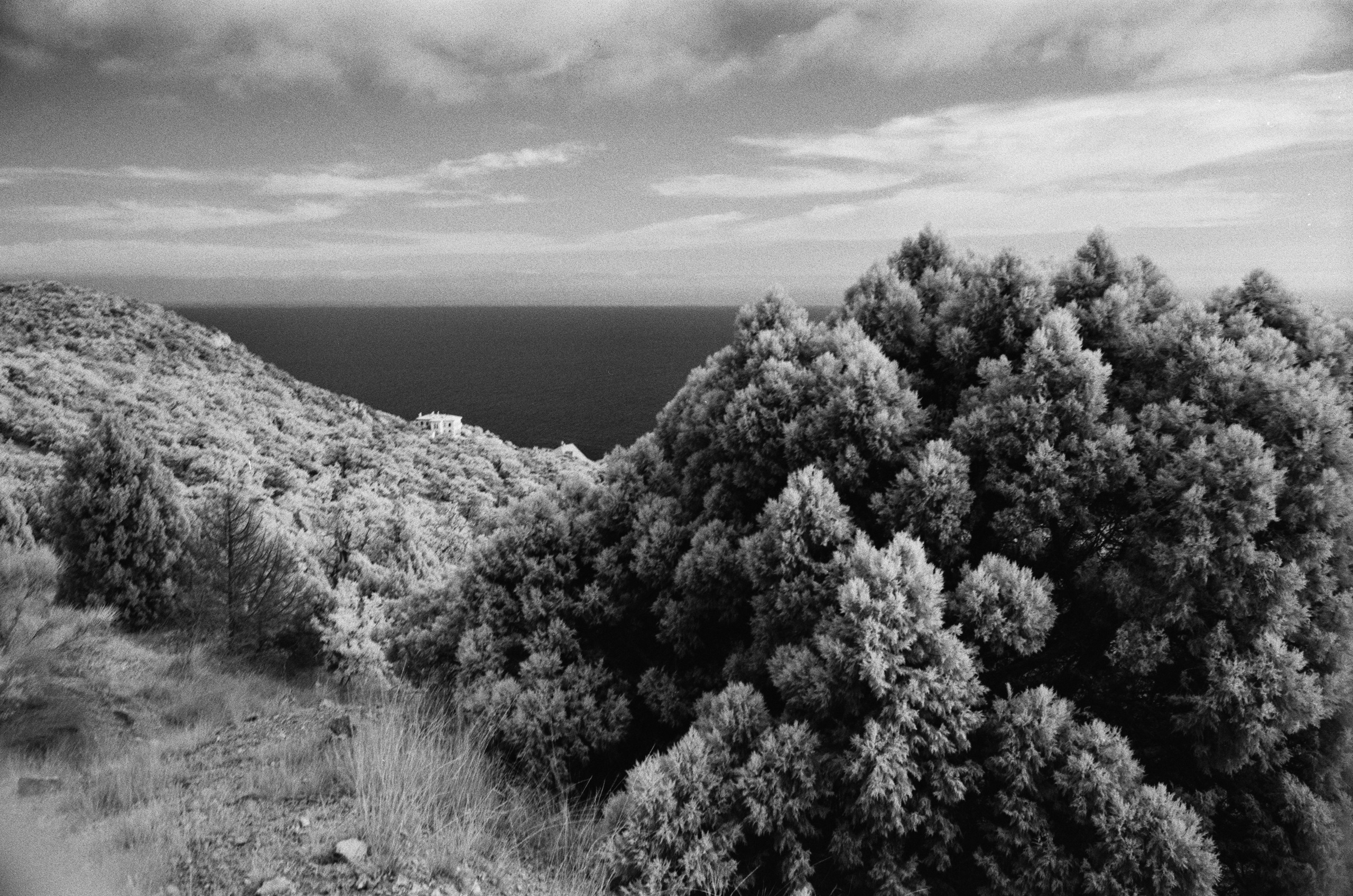 Point of no reply // ukraine, crimea VII. EVER EXPOSED