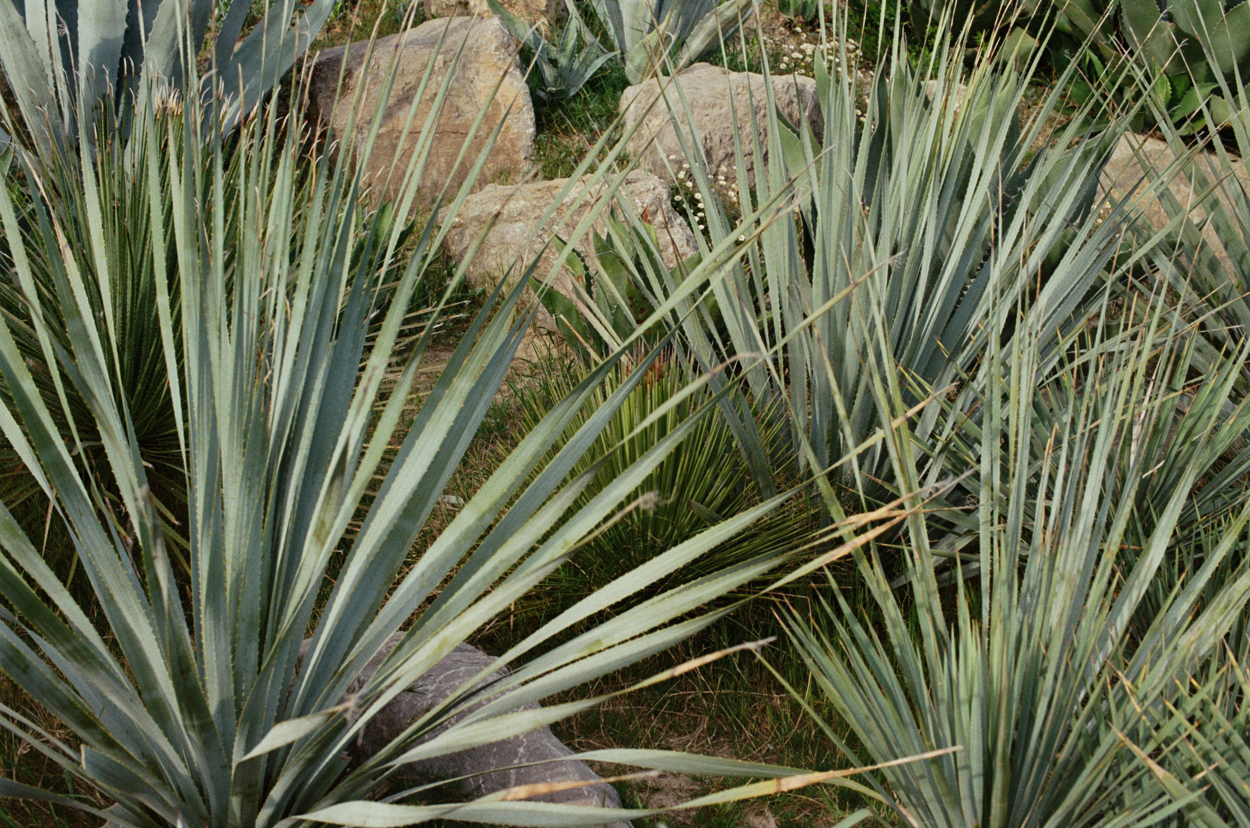 This time // ukraine, crimea III. EVER EXPOSED