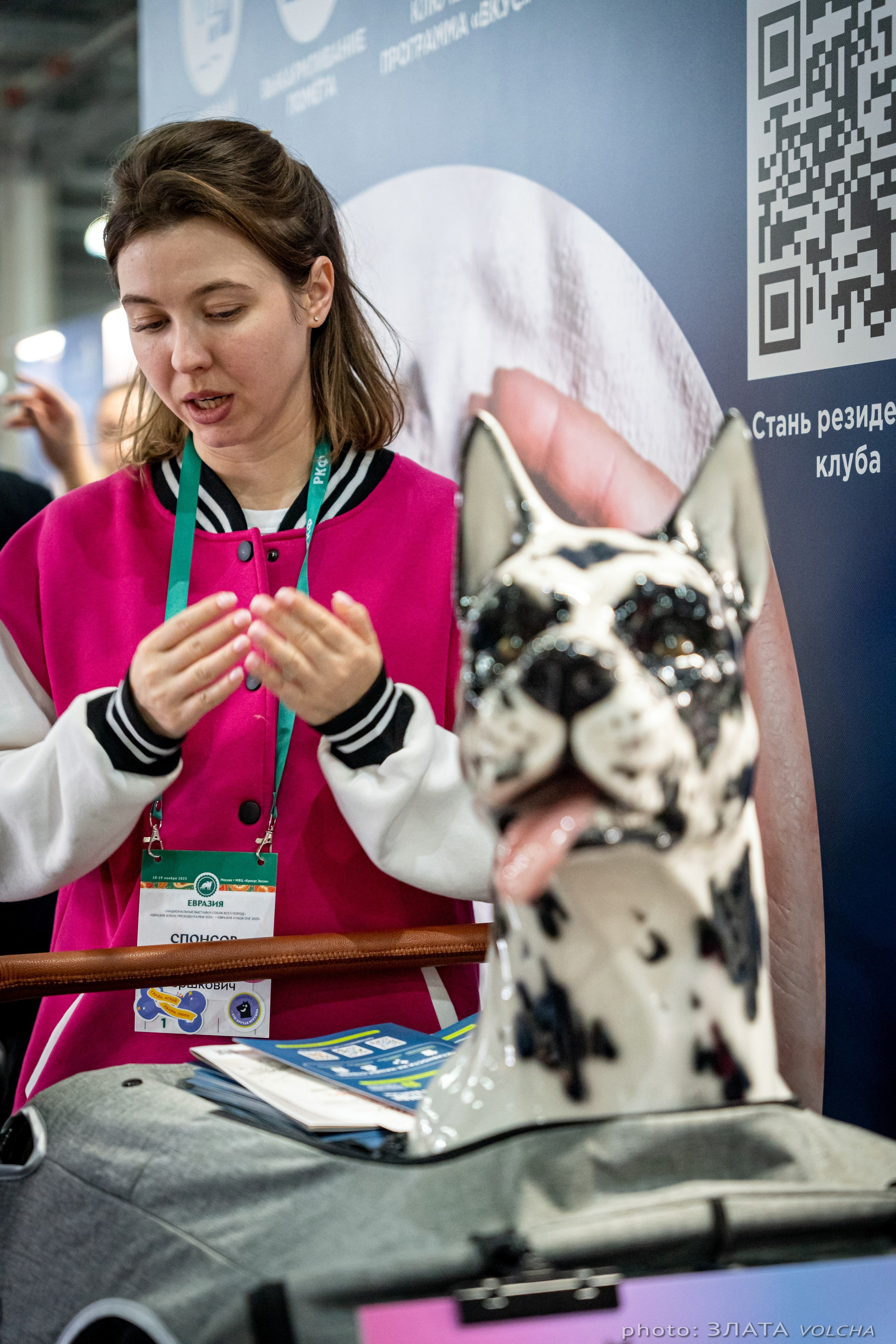 Животные. Фото, видео, монтаж