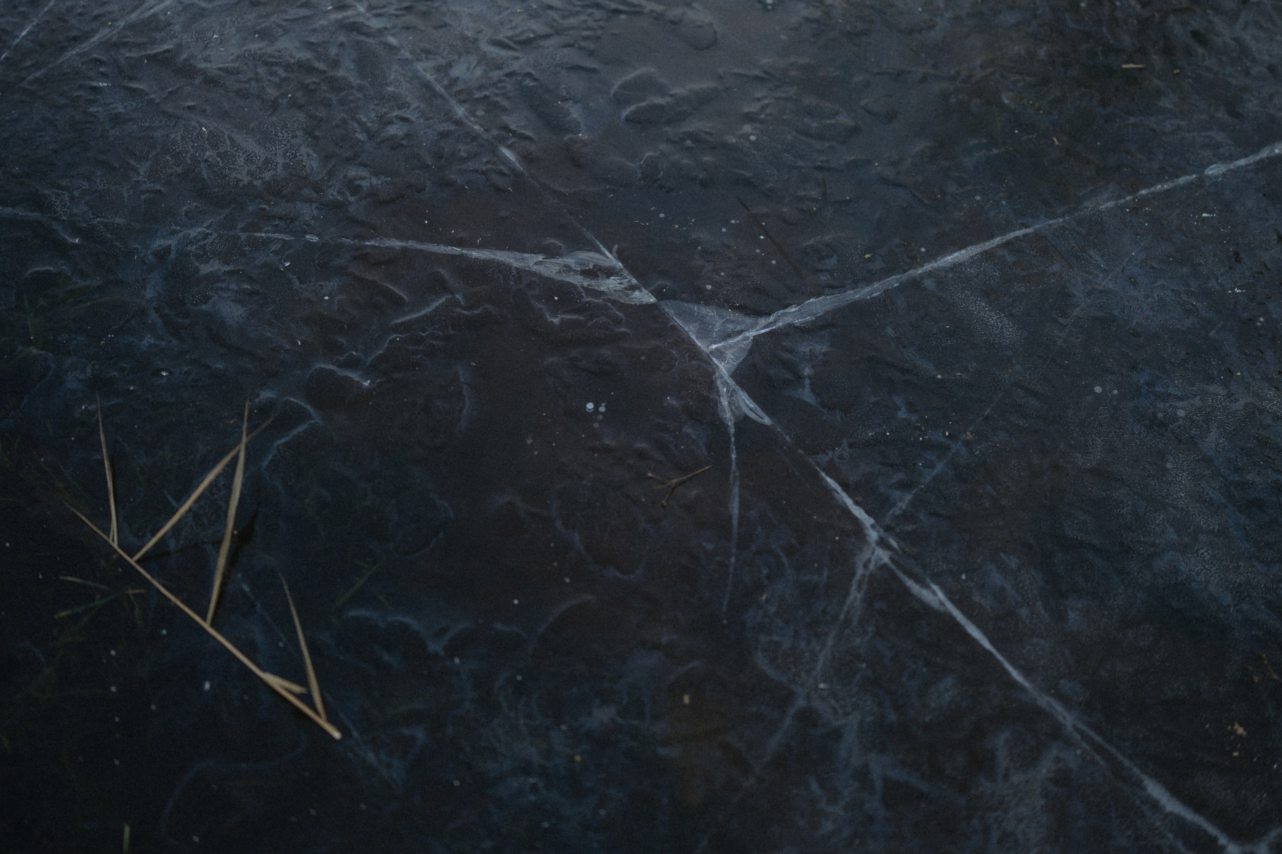 Назад в СССр. Юлия Анисимова — свадебный и семейный фотограф в Санкт-Петербурге