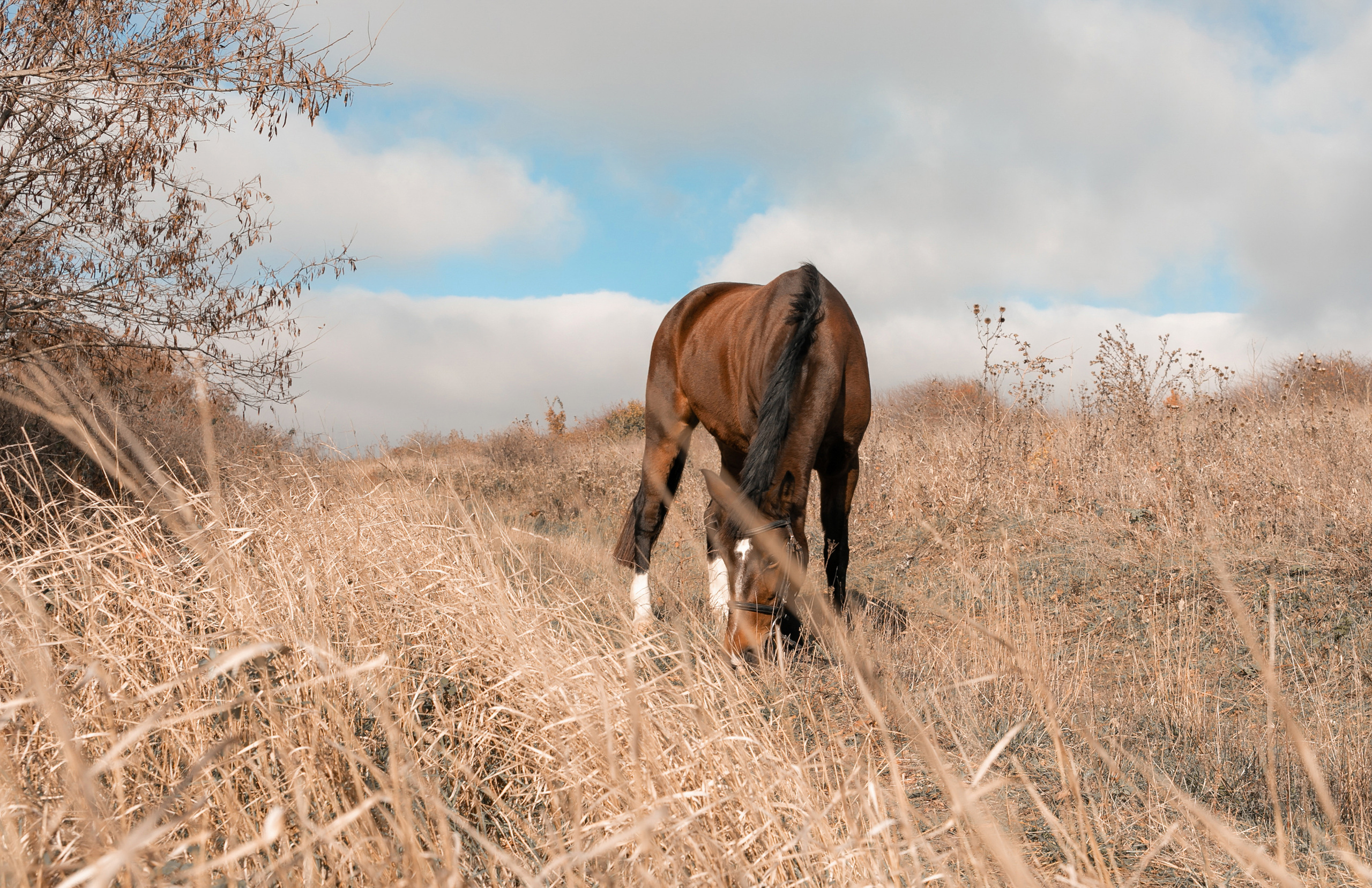 Мария. Семейный и детский фотограф в Анапе Наталья Абраменко