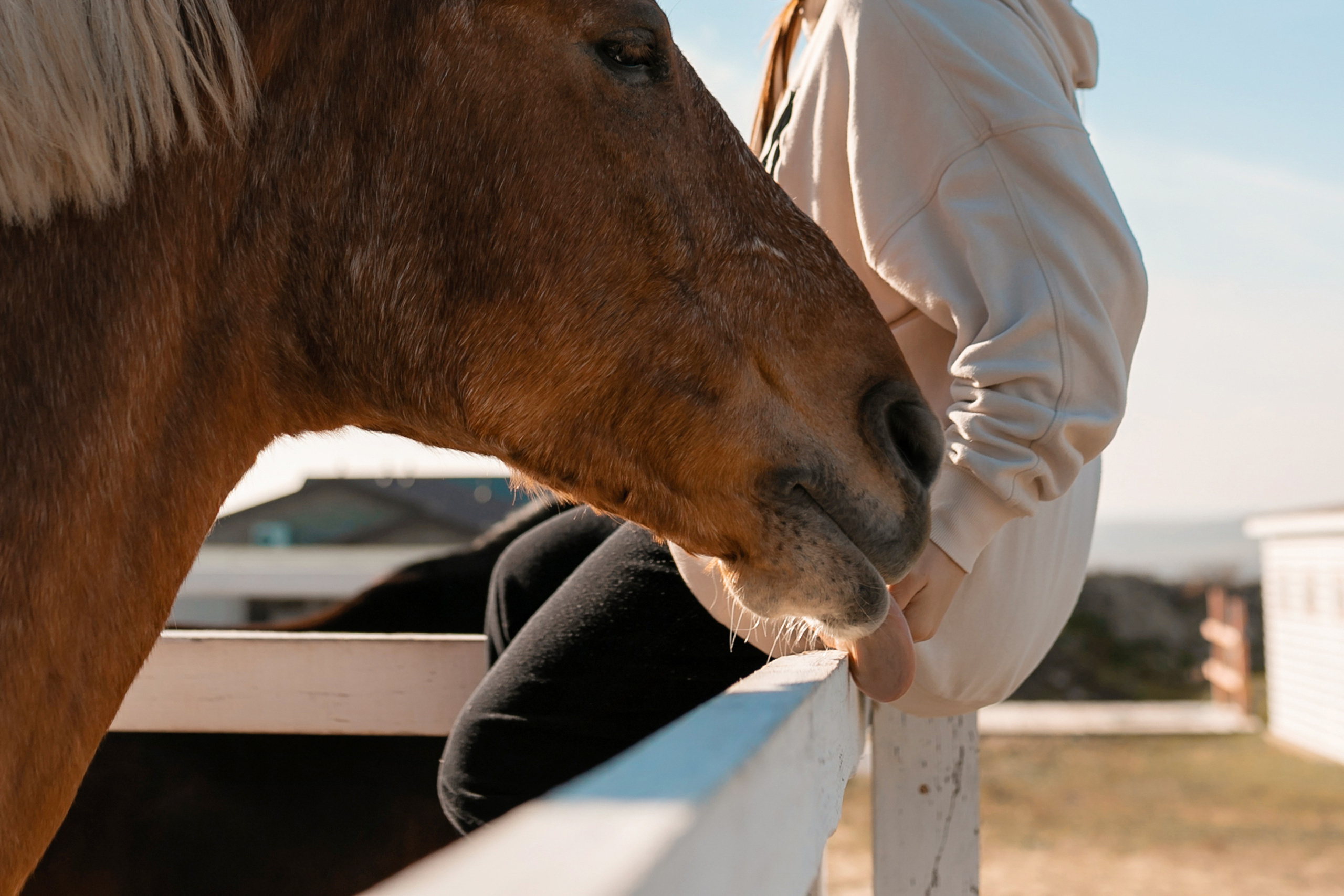 Мария. Семейный и детский фотограф в Анапе Наталья Абраменко