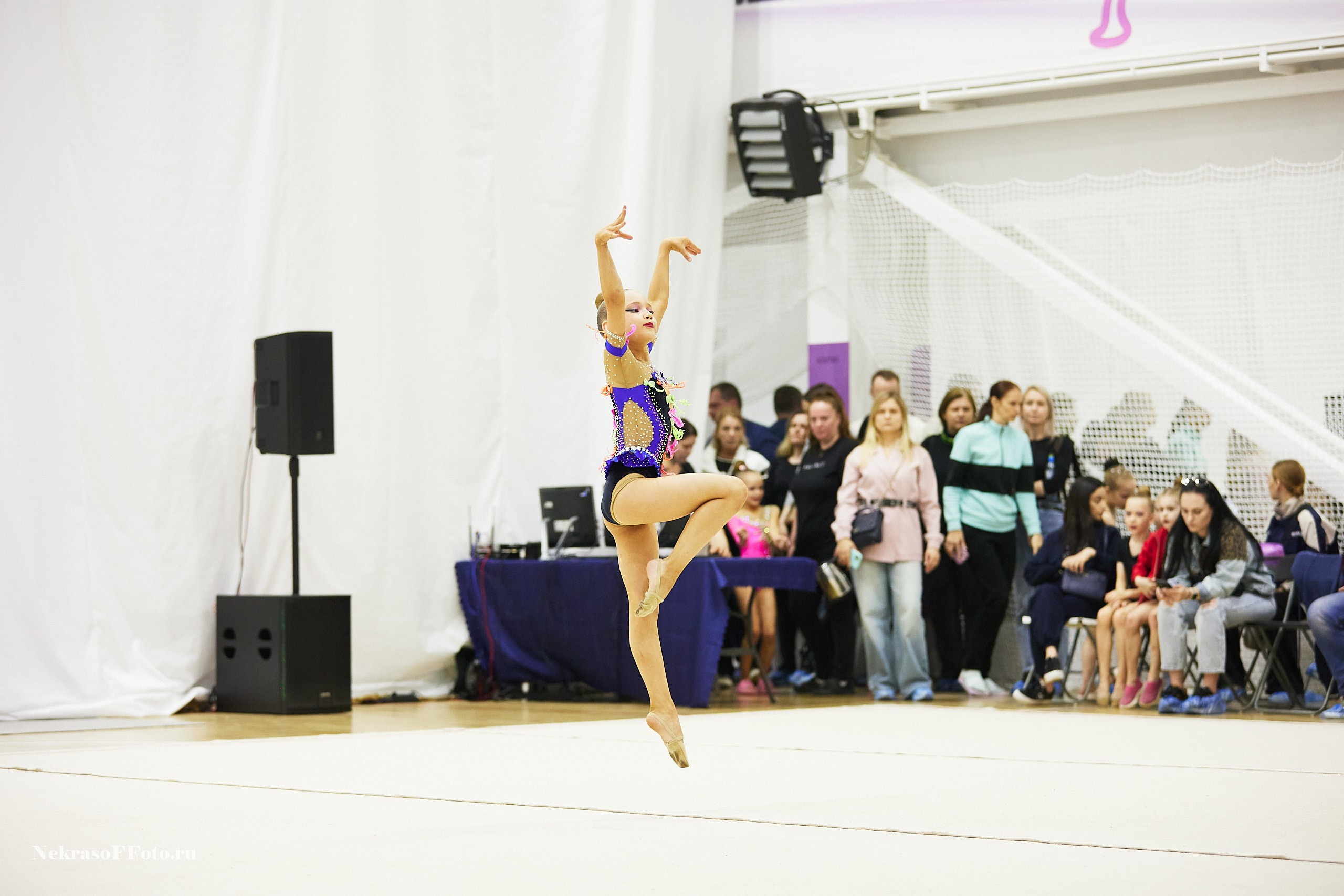 Художественная гимнастика. Спортивный фотограф Некрасов Денис