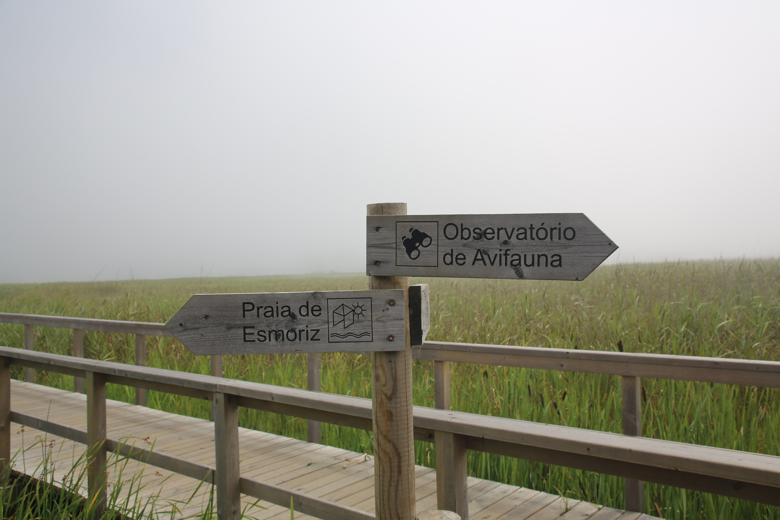 Esmoriz, Portugal. Andrey Filippov Photographer