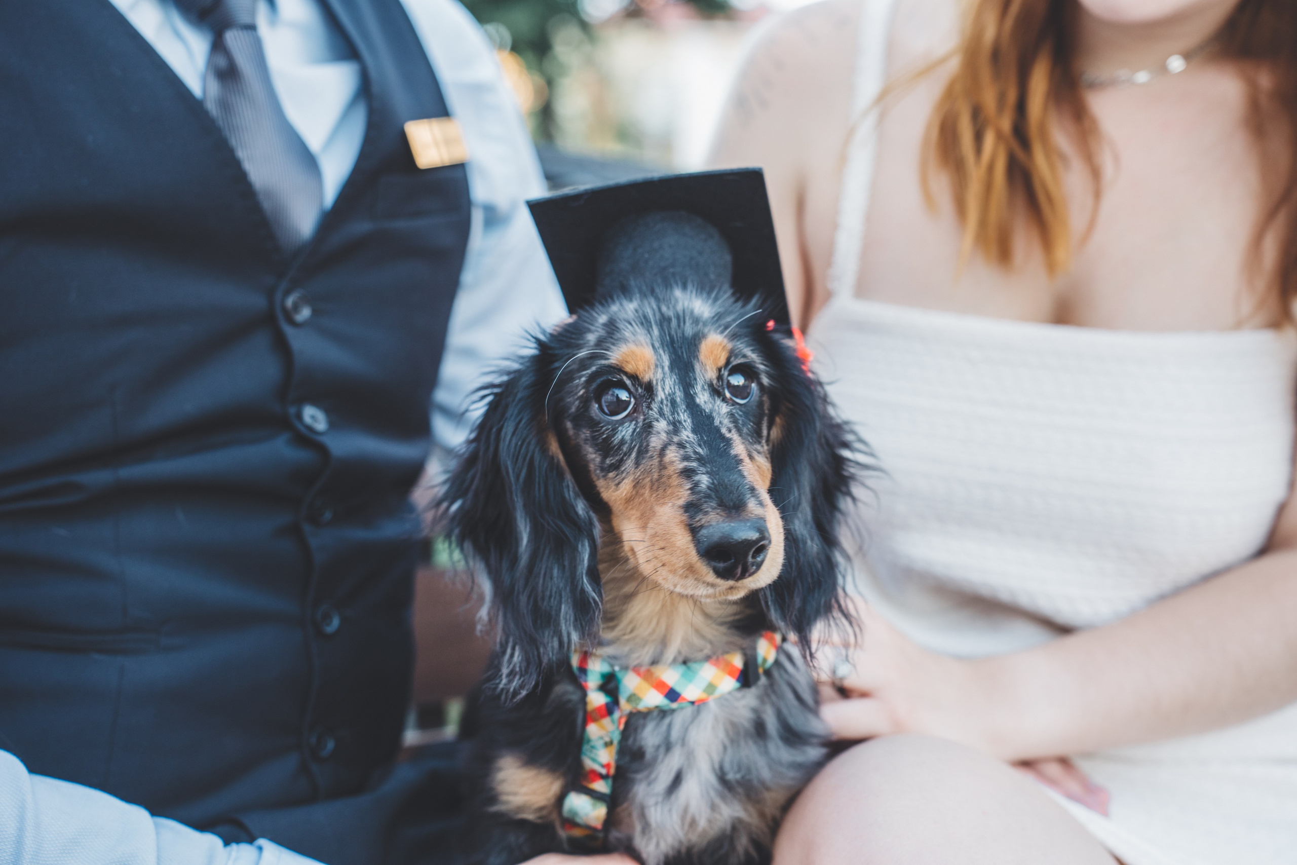 KSMU Students Graduation. Свадебный и семейный видеограф в Курске