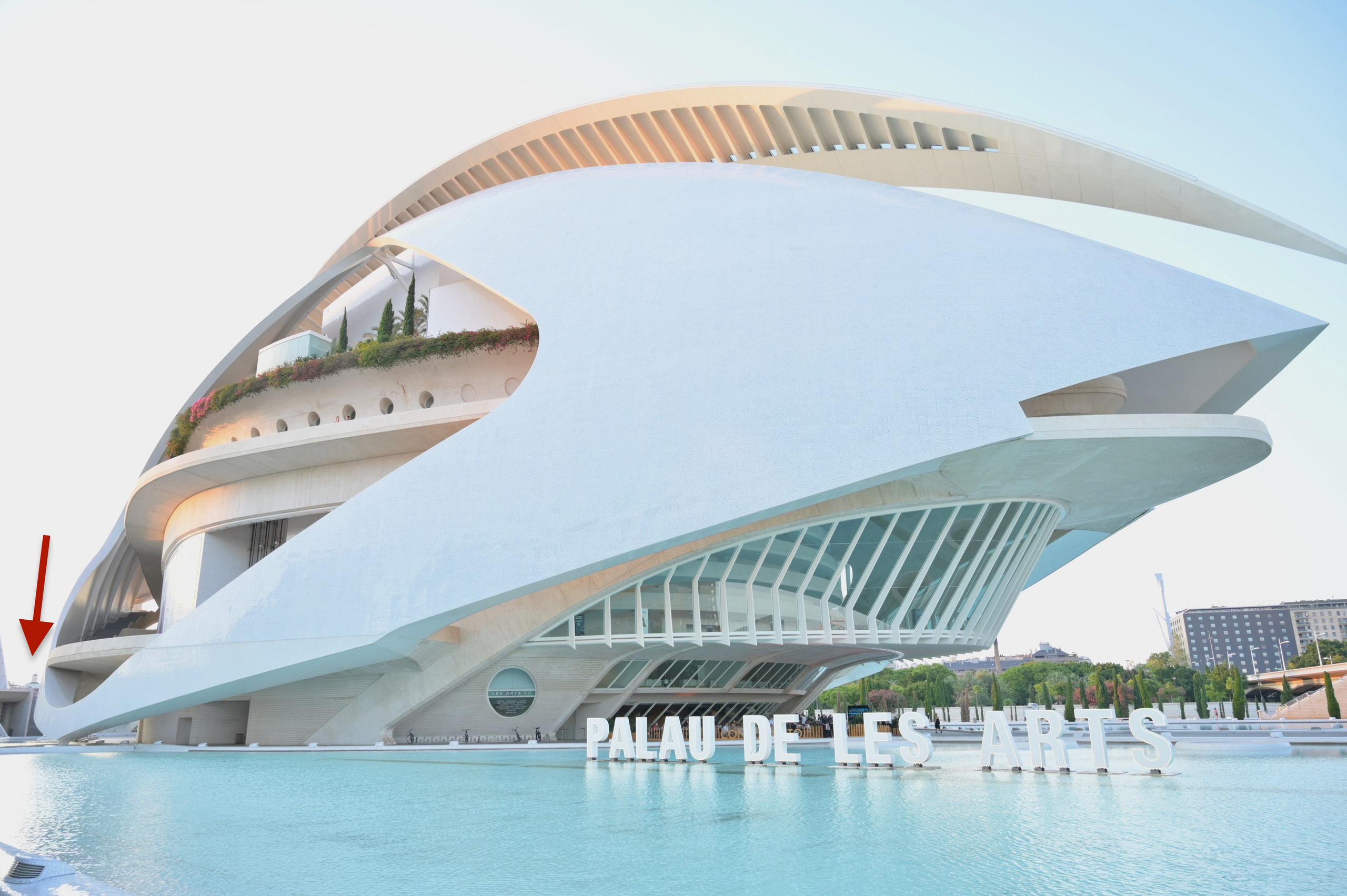 Место встречи — экскурсия по Городу искусств и наук. Гид и фотограф в Валенсии Новиков Михаил