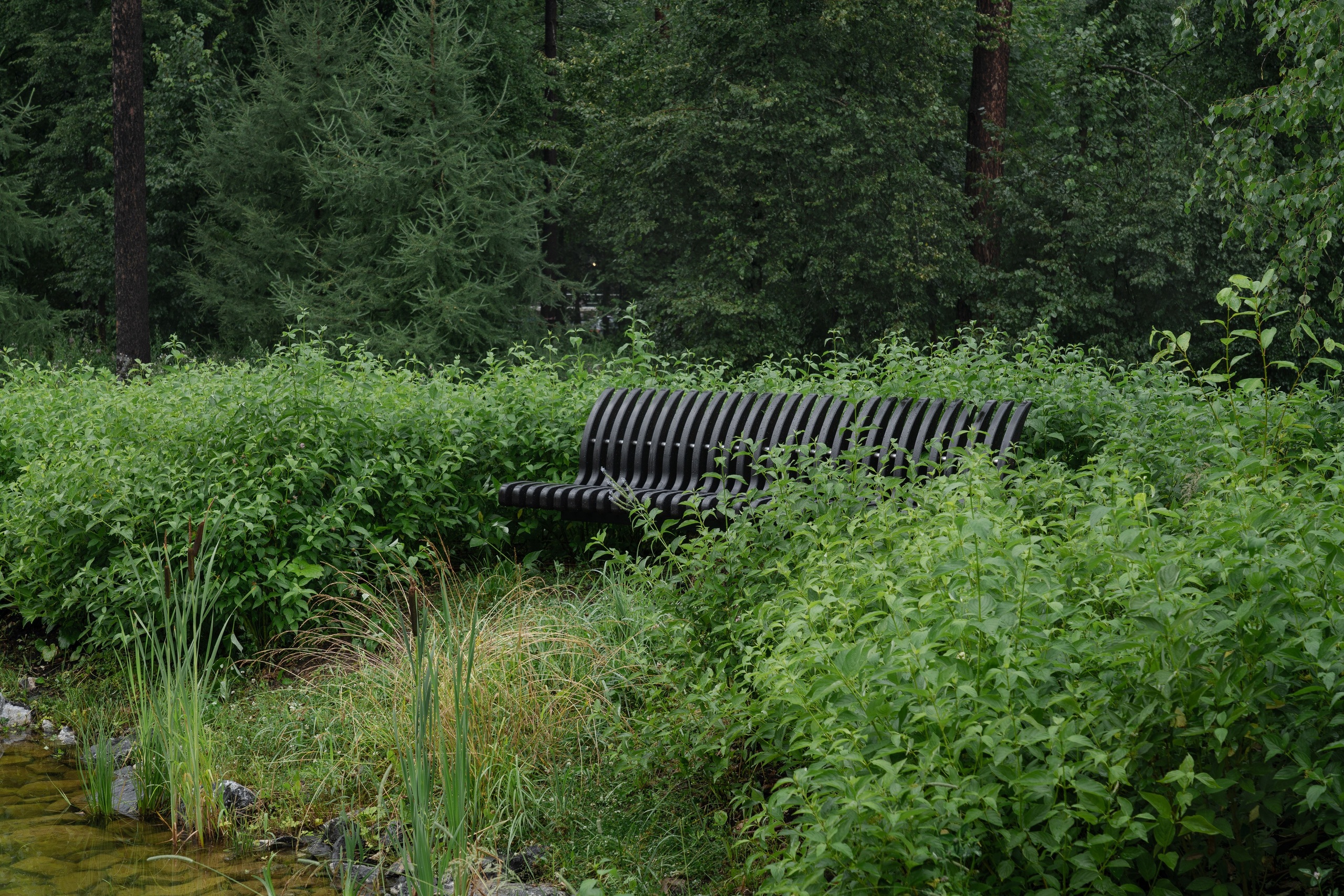 Trailway of health. Артамонов Александр | Архитектурный и ландшафтный фотограф