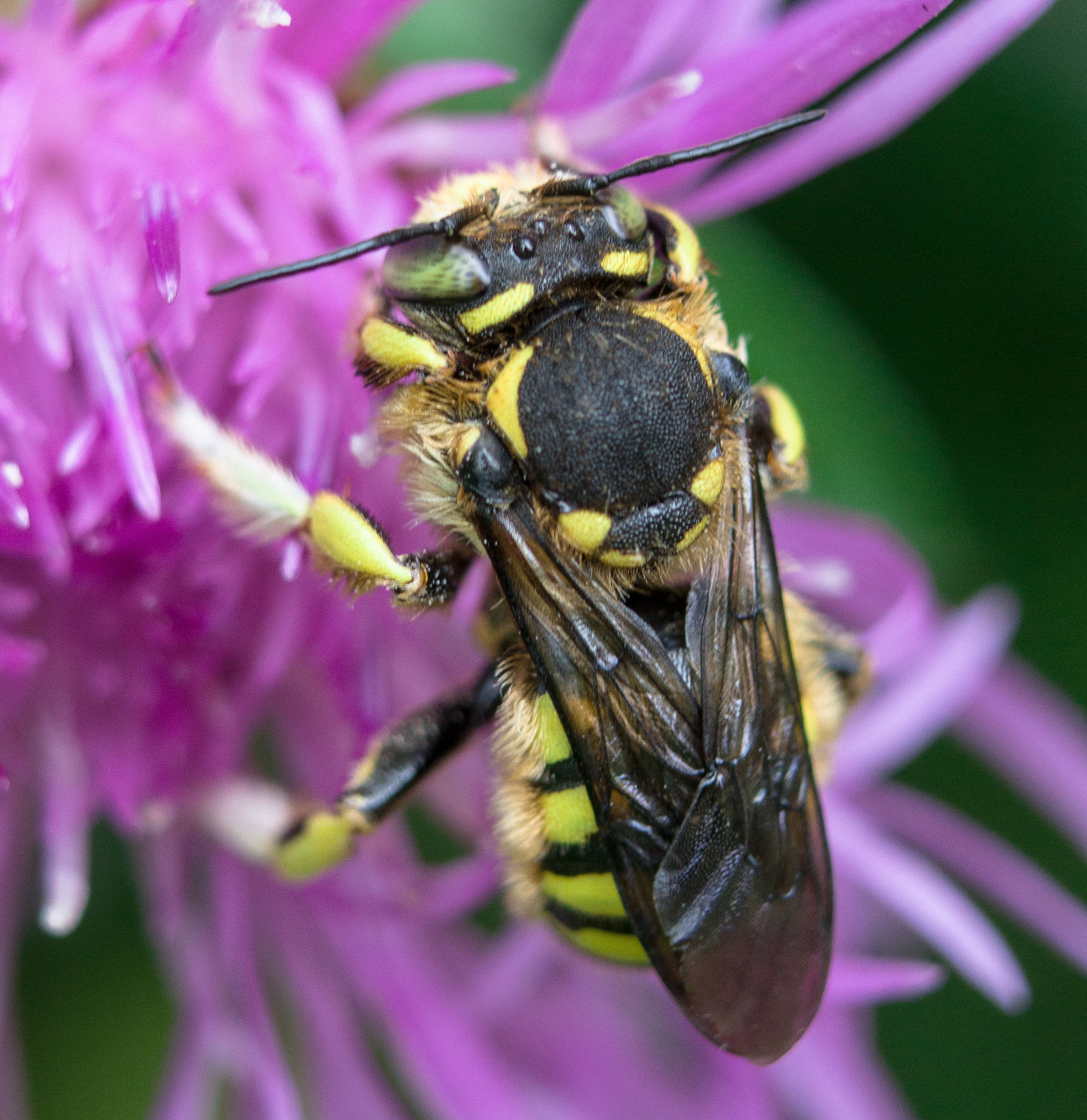 Макро. Обо всём