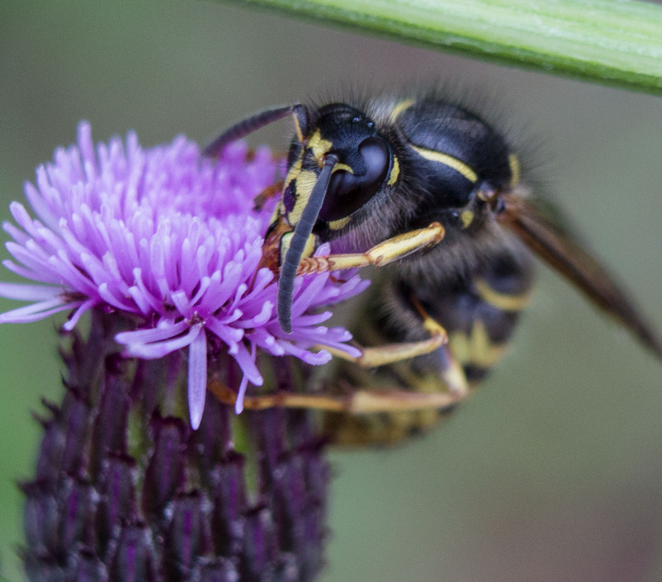 Макро. Обо всём
