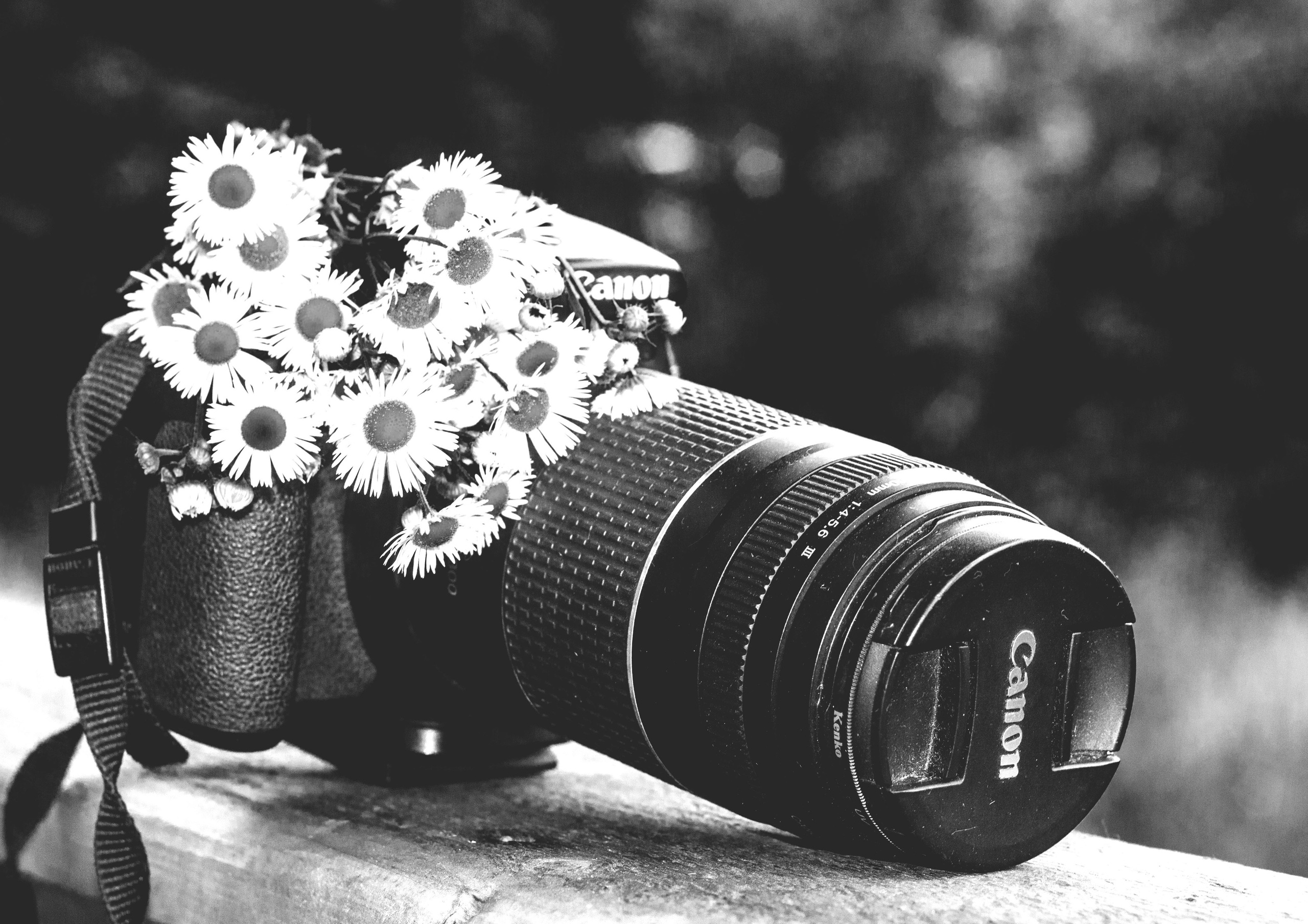 Чёрное белое. Обо всём