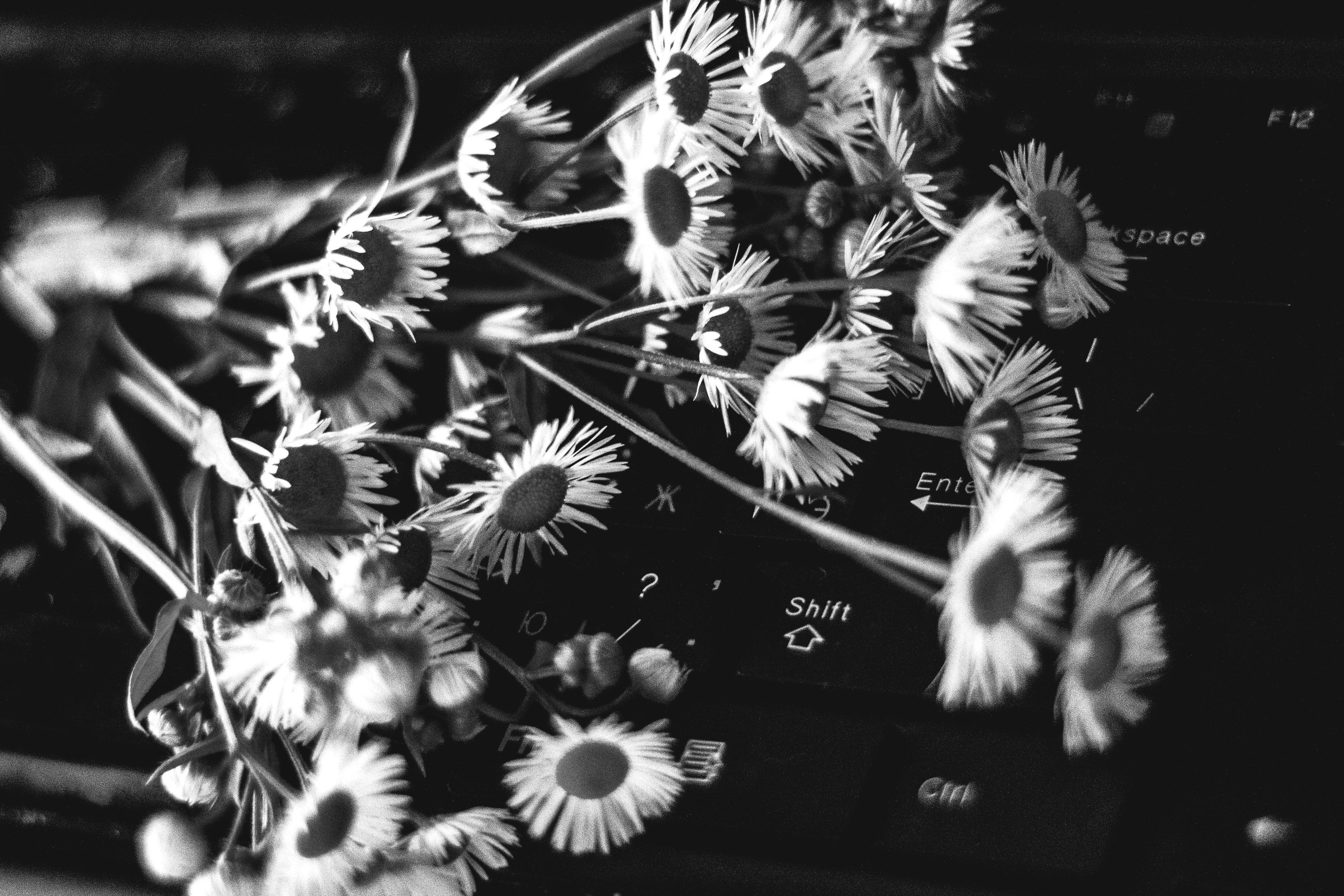 Чёрное белое. Обо всём