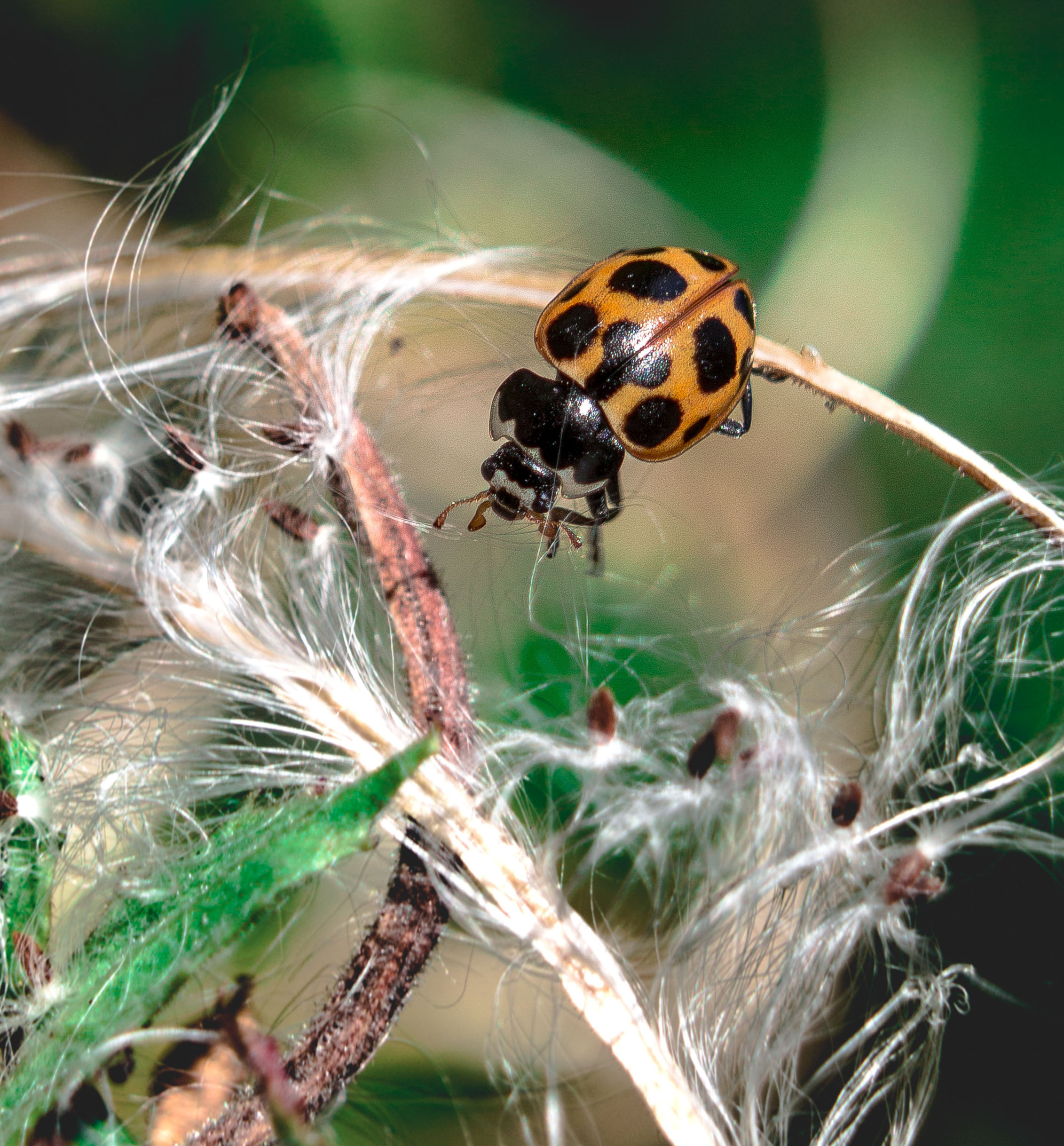 Макро. Обо всём